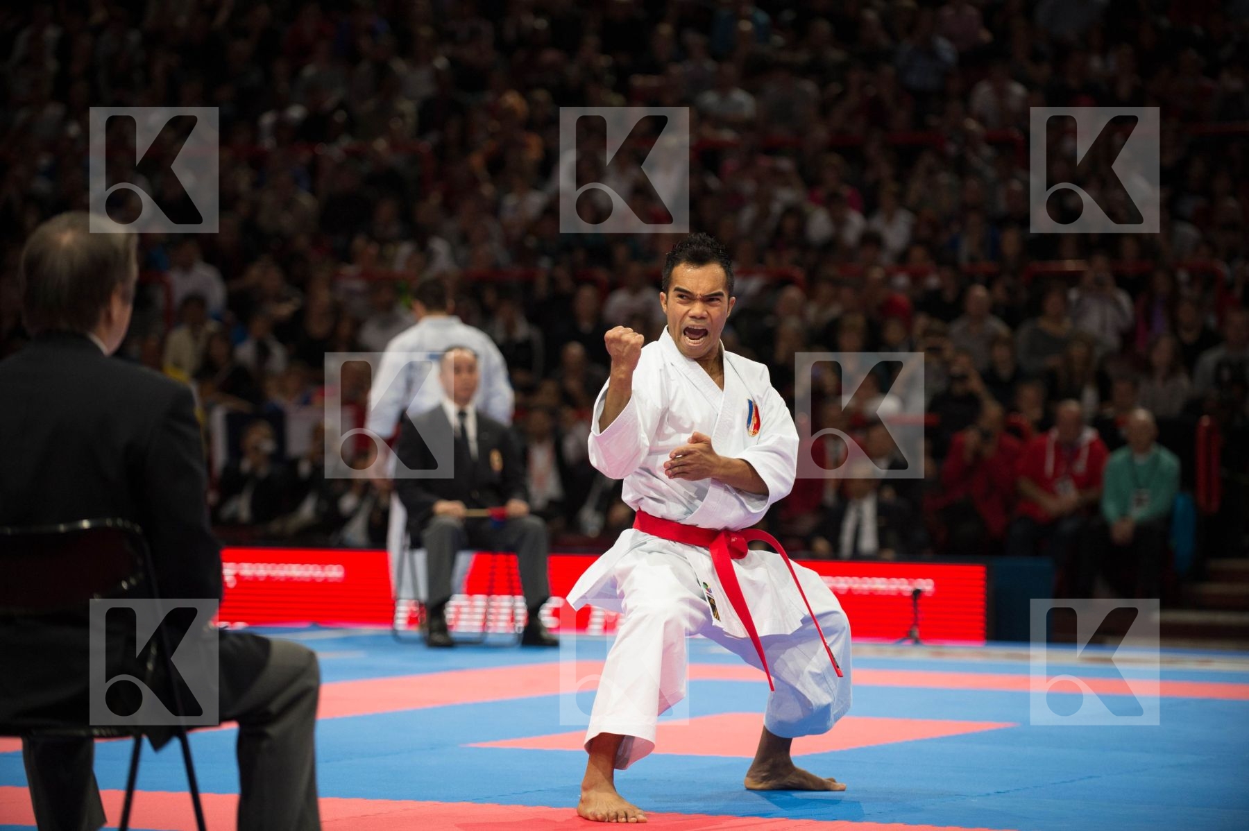 World Senior Karate Championship 2012 Paris 2012