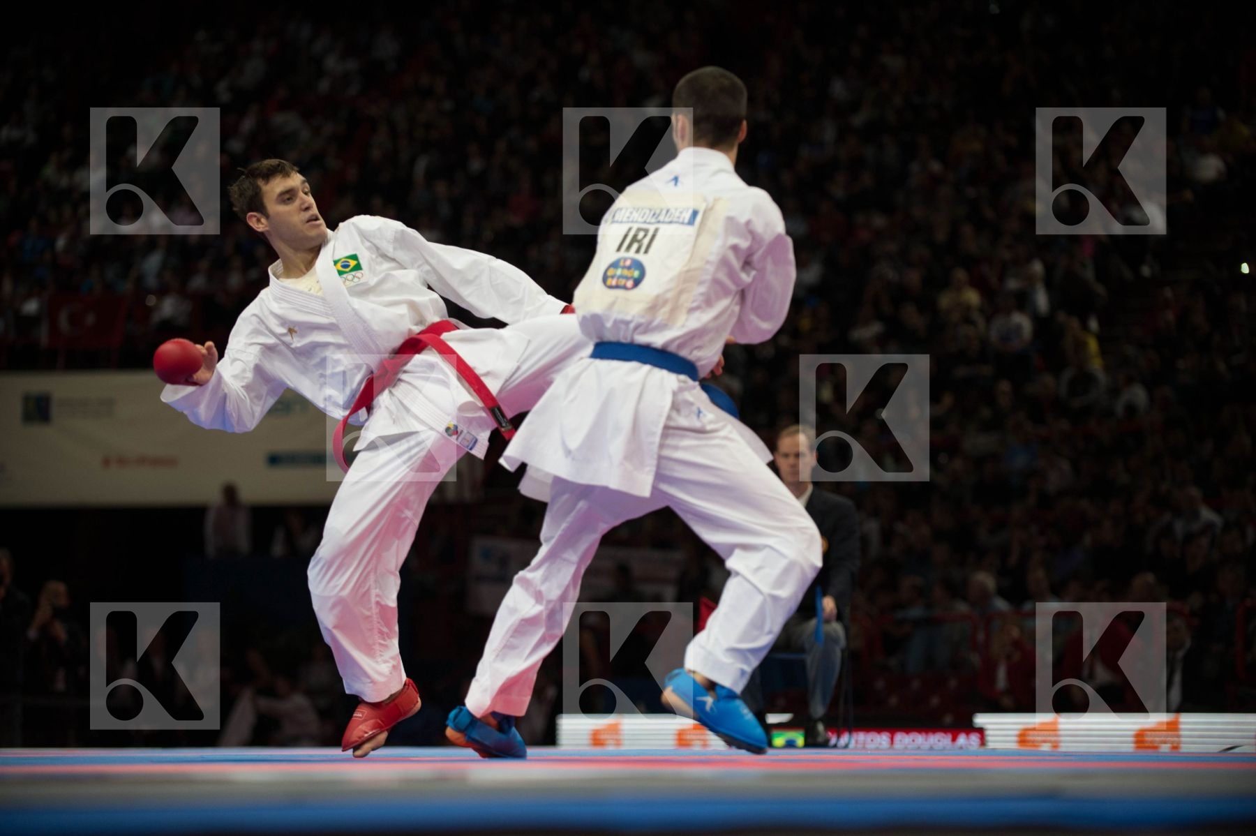 World Senior Karate Championship 2012 Paris 2012