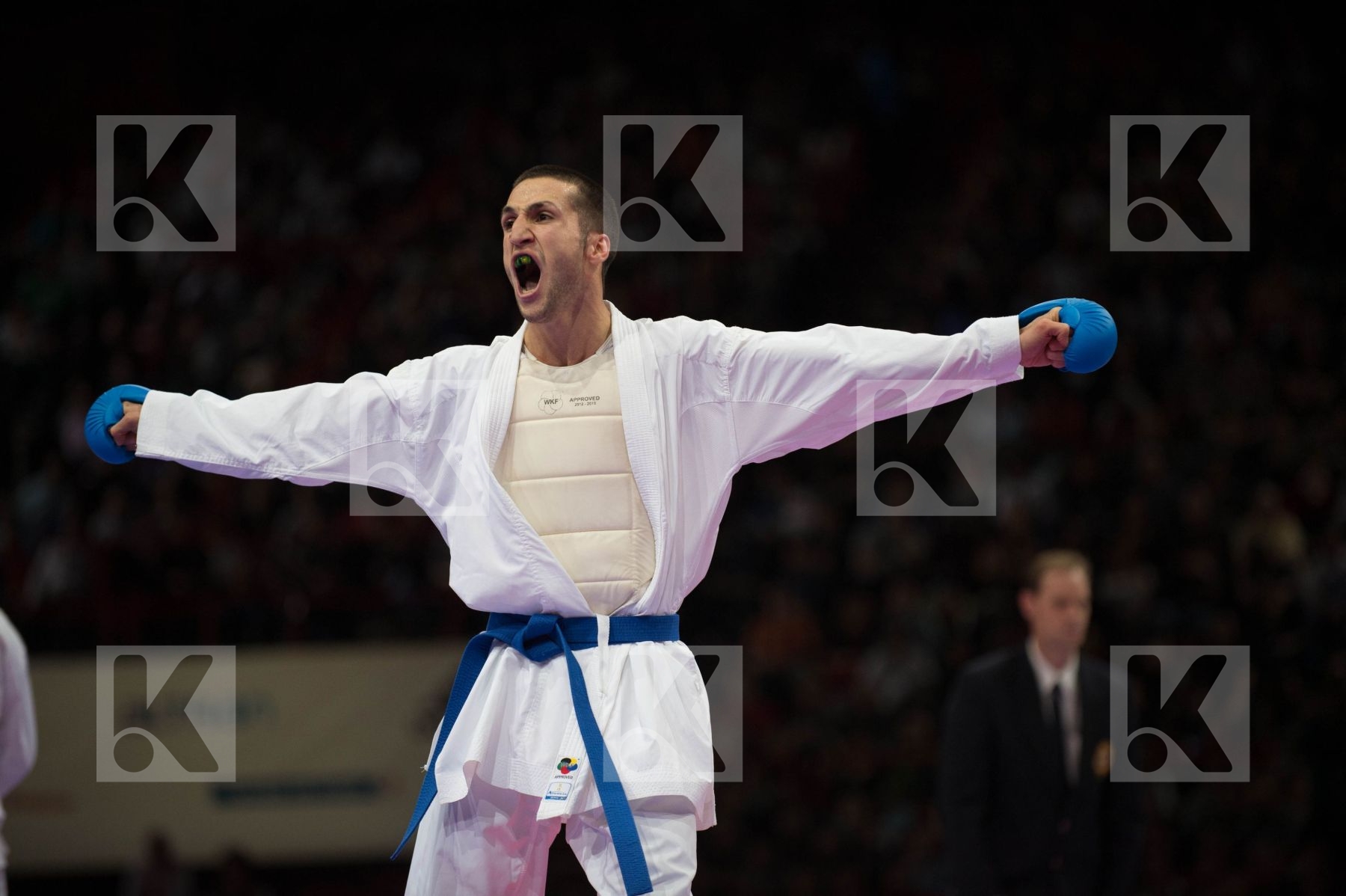 World Senior Karate Championship 2012 Paris 2012
