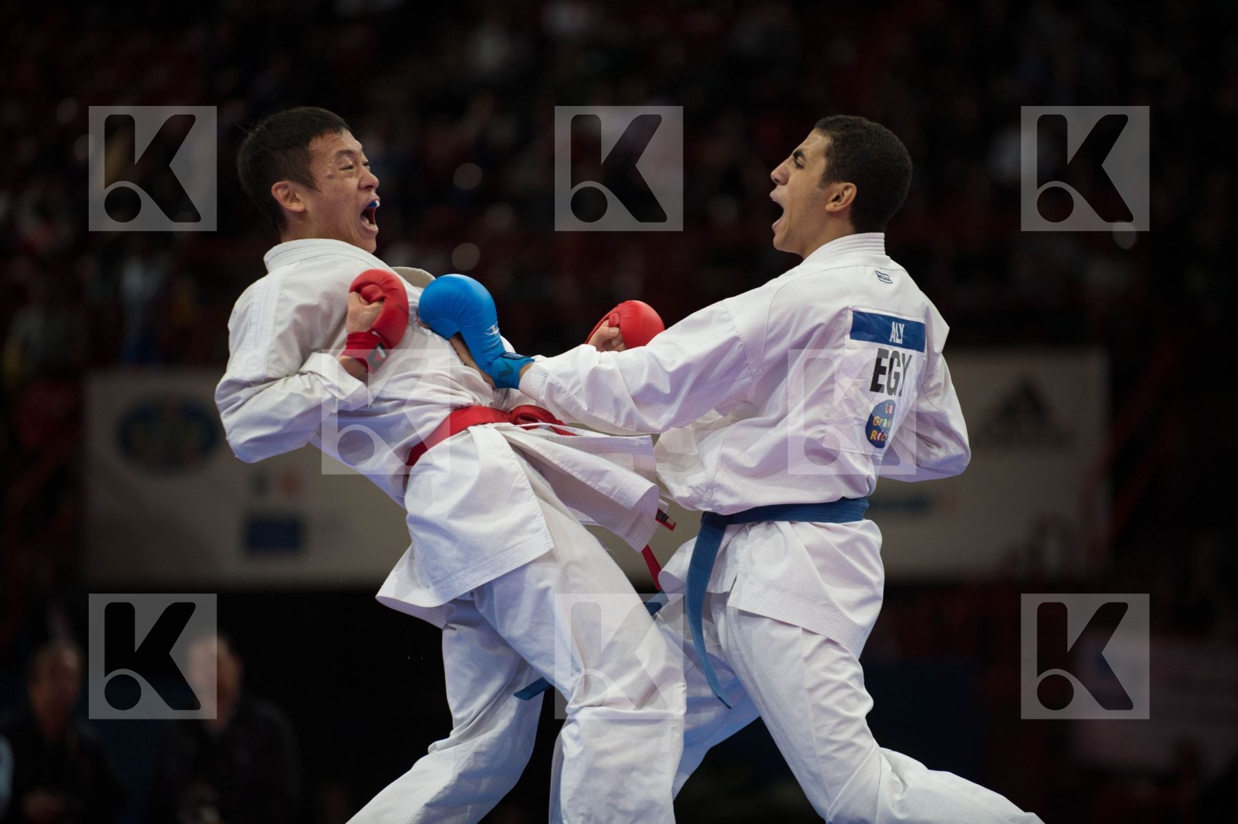 World Senior Karate Championship 2012 Paris 2012