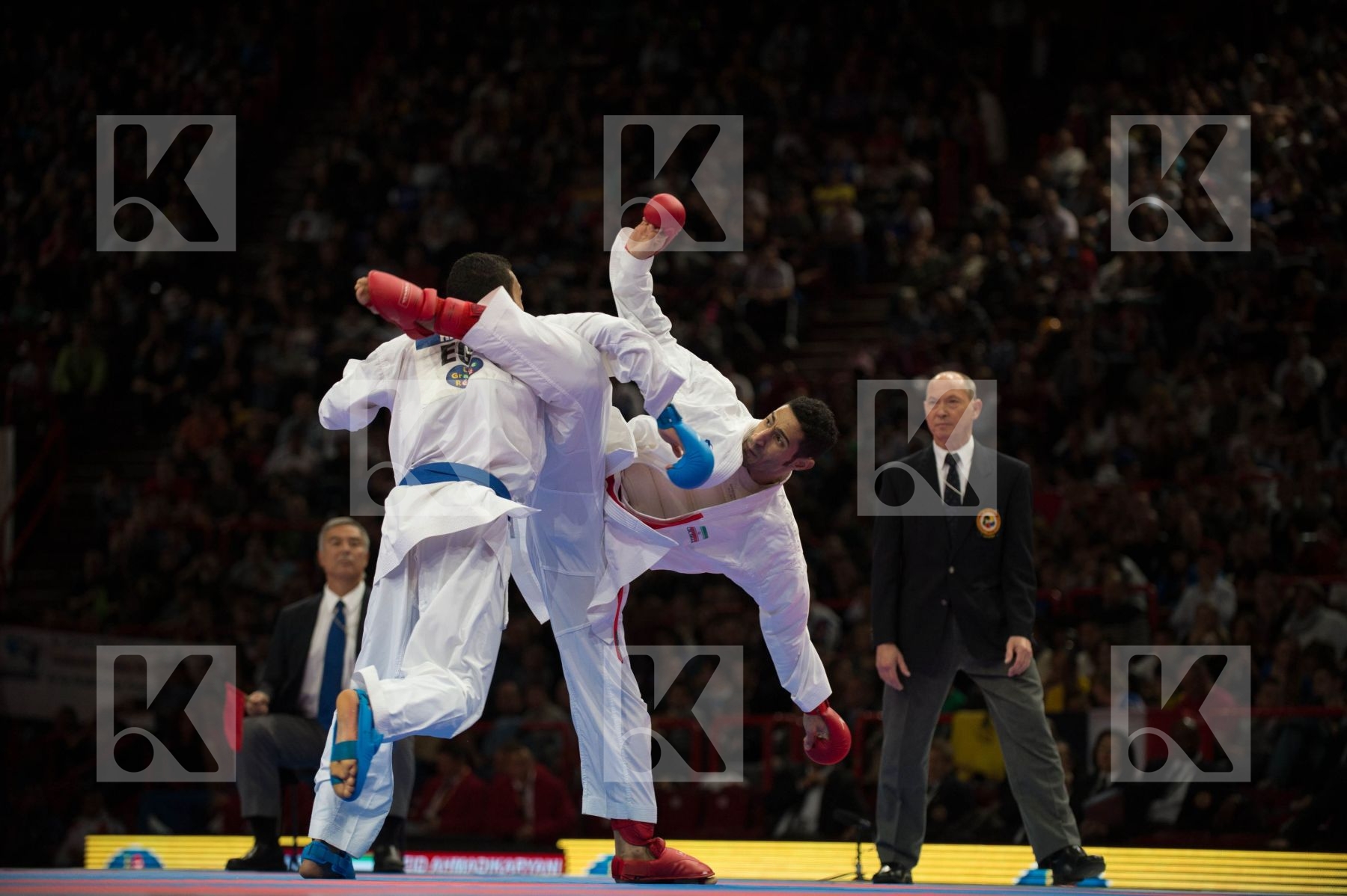 World Senior Karate Championship 2012 Paris 2012