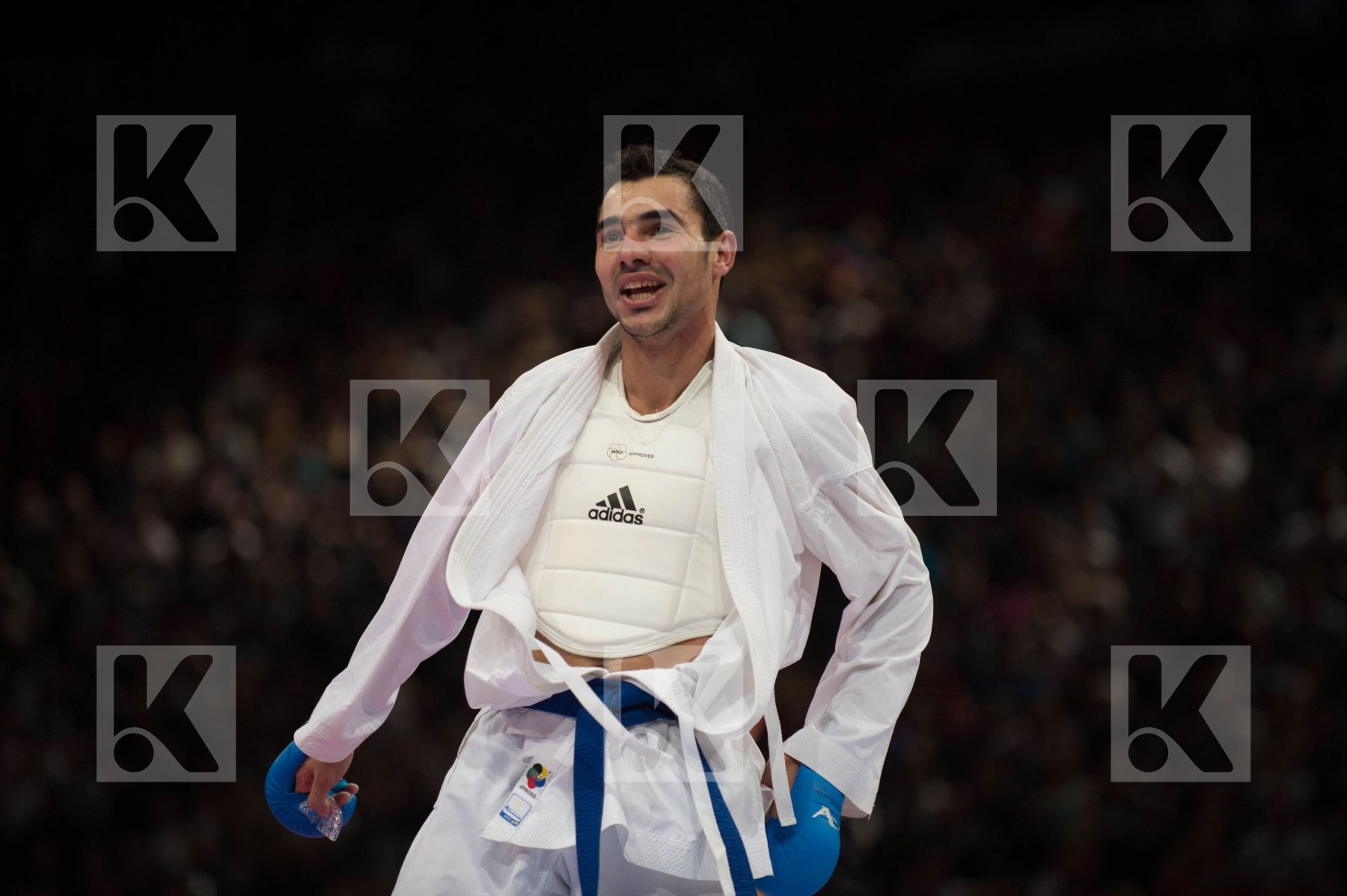 World Senior Karate Championship 2012 Paris 2012