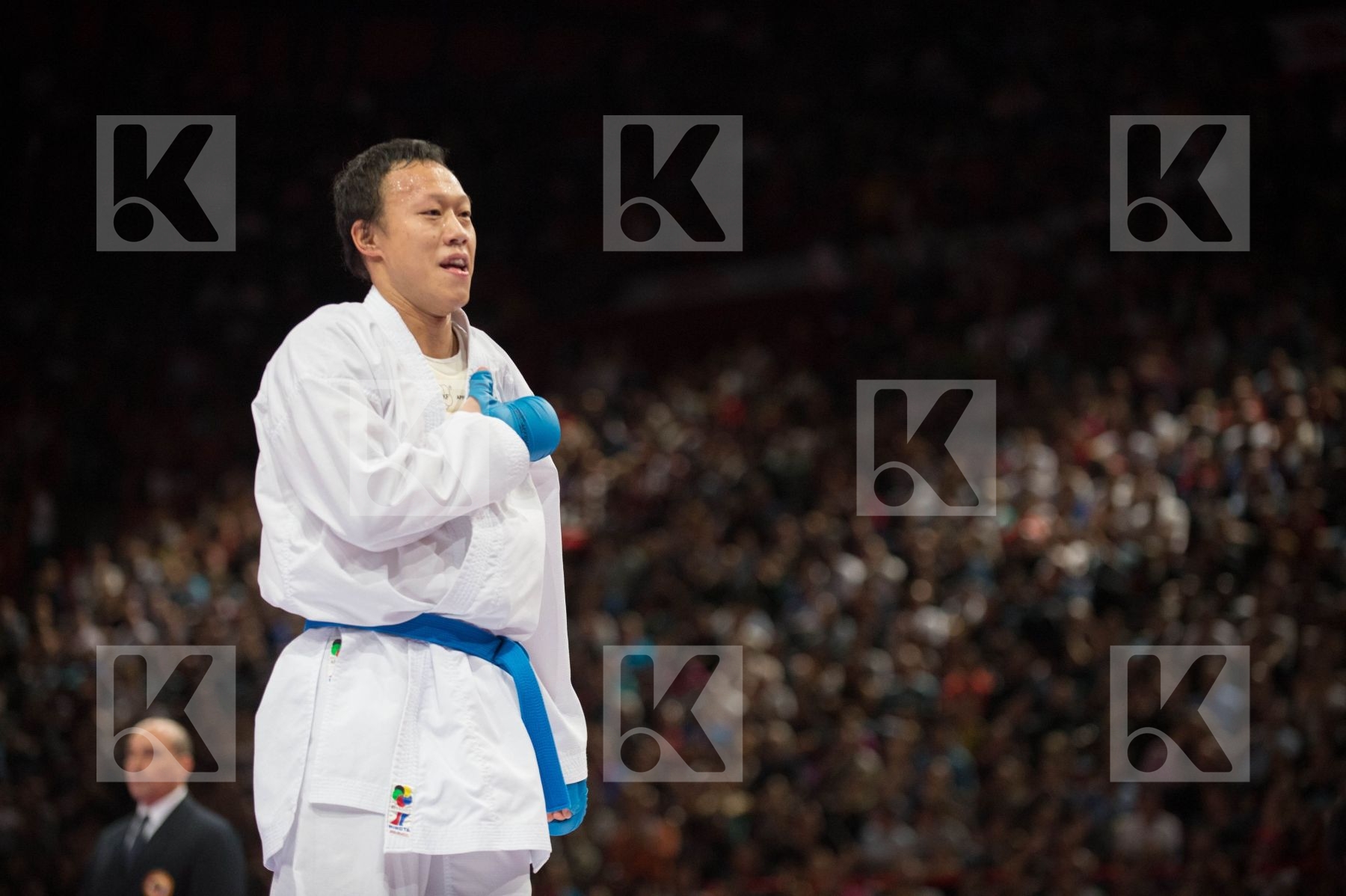 World Senior Karate Championship 2012 Paris 2012