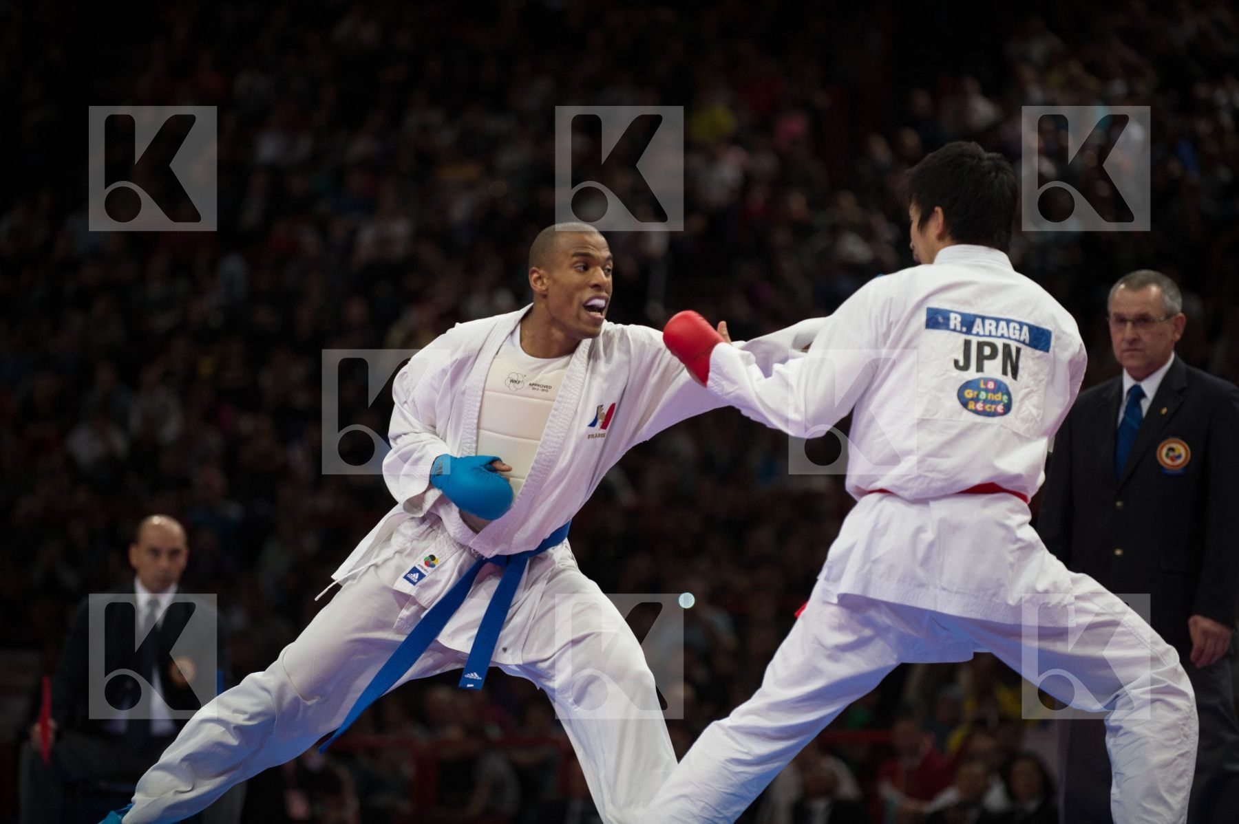 World Senior Karate Championship 2012 Paris 2012