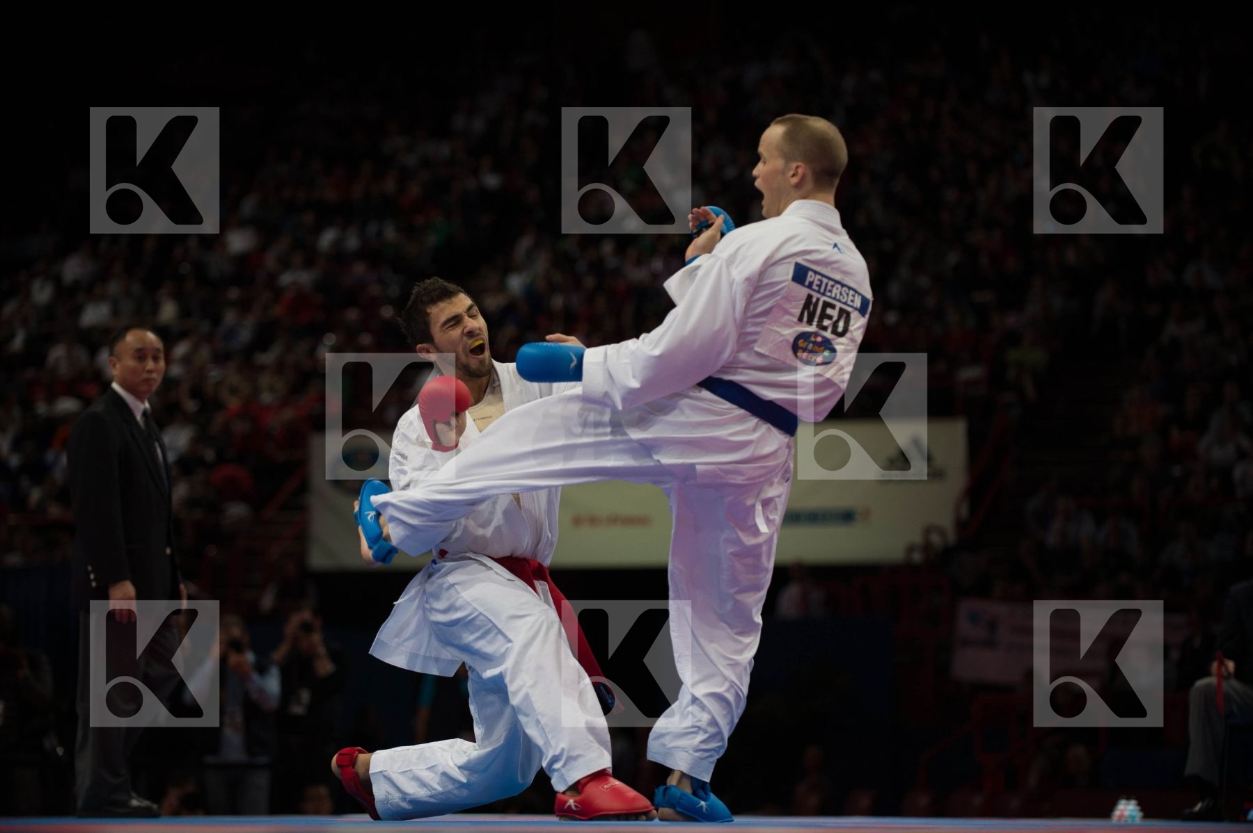 World Senior Karate Championship 2012 Paris 2012