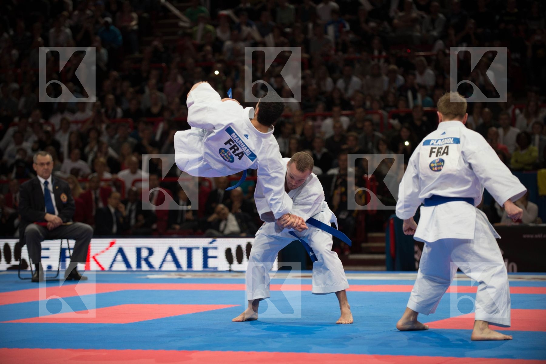 World Senior Karate Championship 2012 Paris 2012