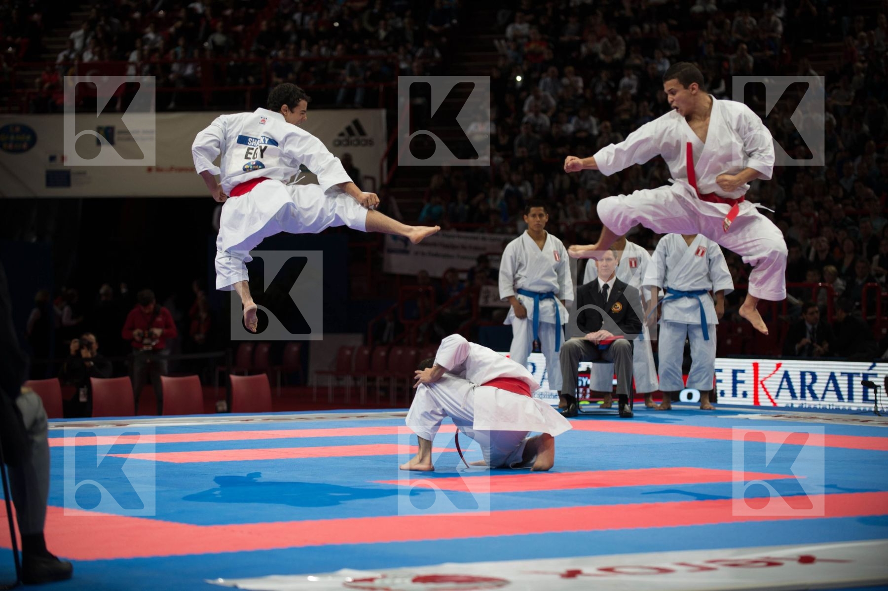 World Senior Karate Championship 2012 Paris 2012