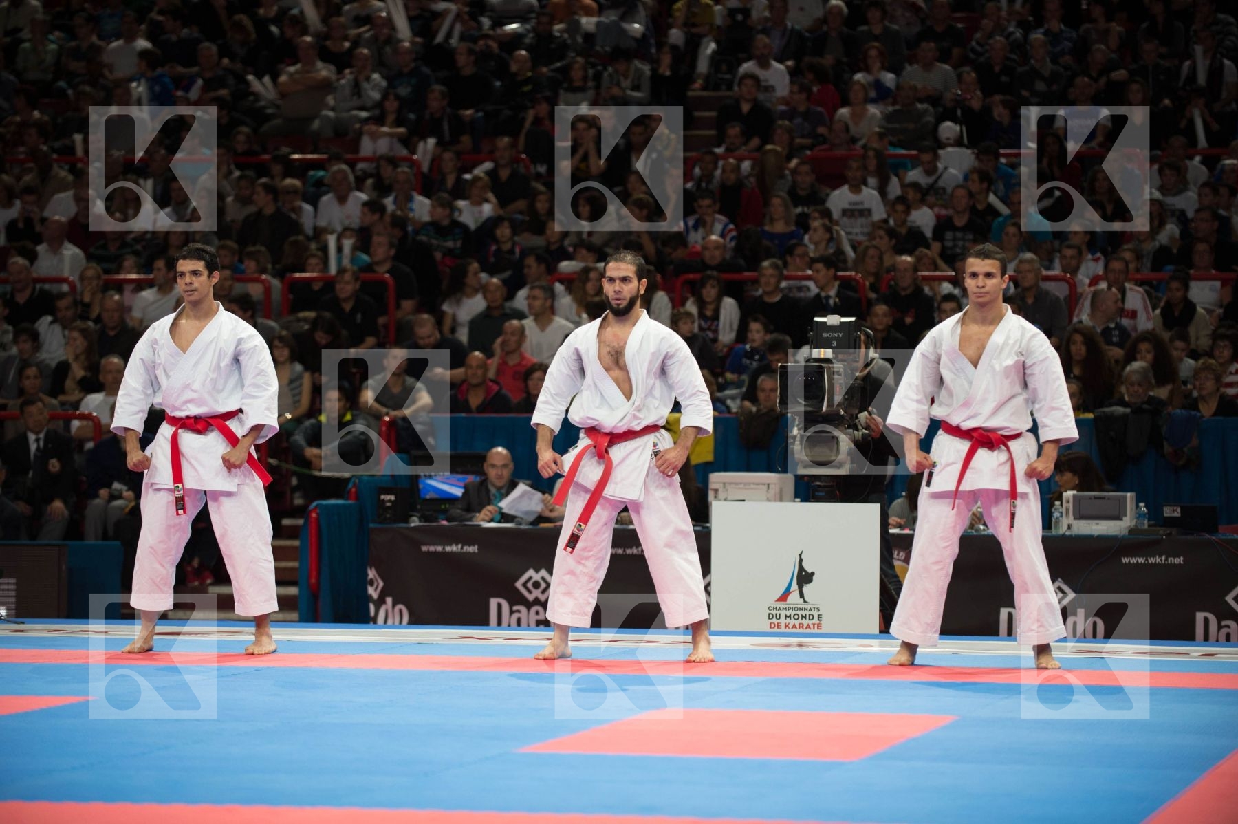 World Senior Karate Championship 2012 Paris 2012