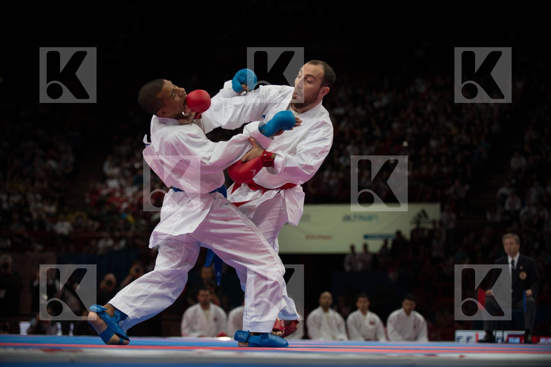 World Senior Karate Championship 2012 Paris 2012