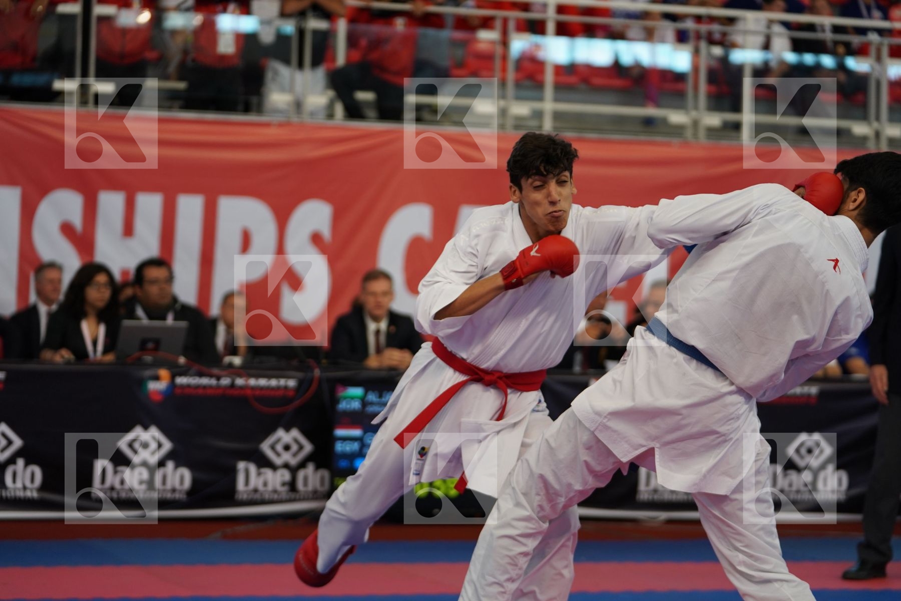 ALJAFARI MOHAMMAD (JORDAN) vs GHONEM HOSSAM (EGYPT) in Cadet Kumite Male -70 Kg - Podium ceremony