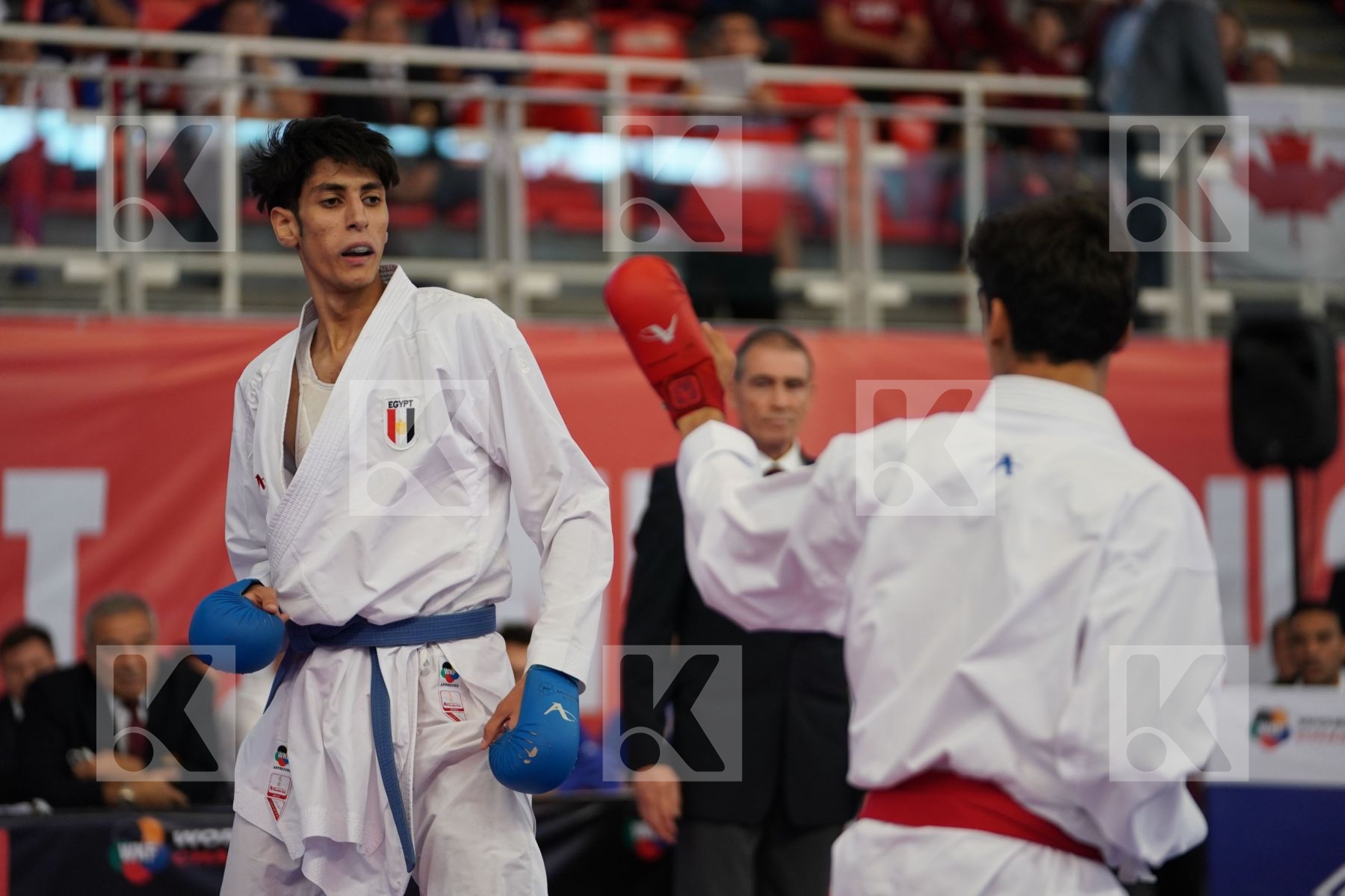 ALJAFARI MOHAMMAD (JORDAN) vs GHONEM HOSSAM (EGYPT) in Cadet Kumite Male -70 Kg - Podium ceremony