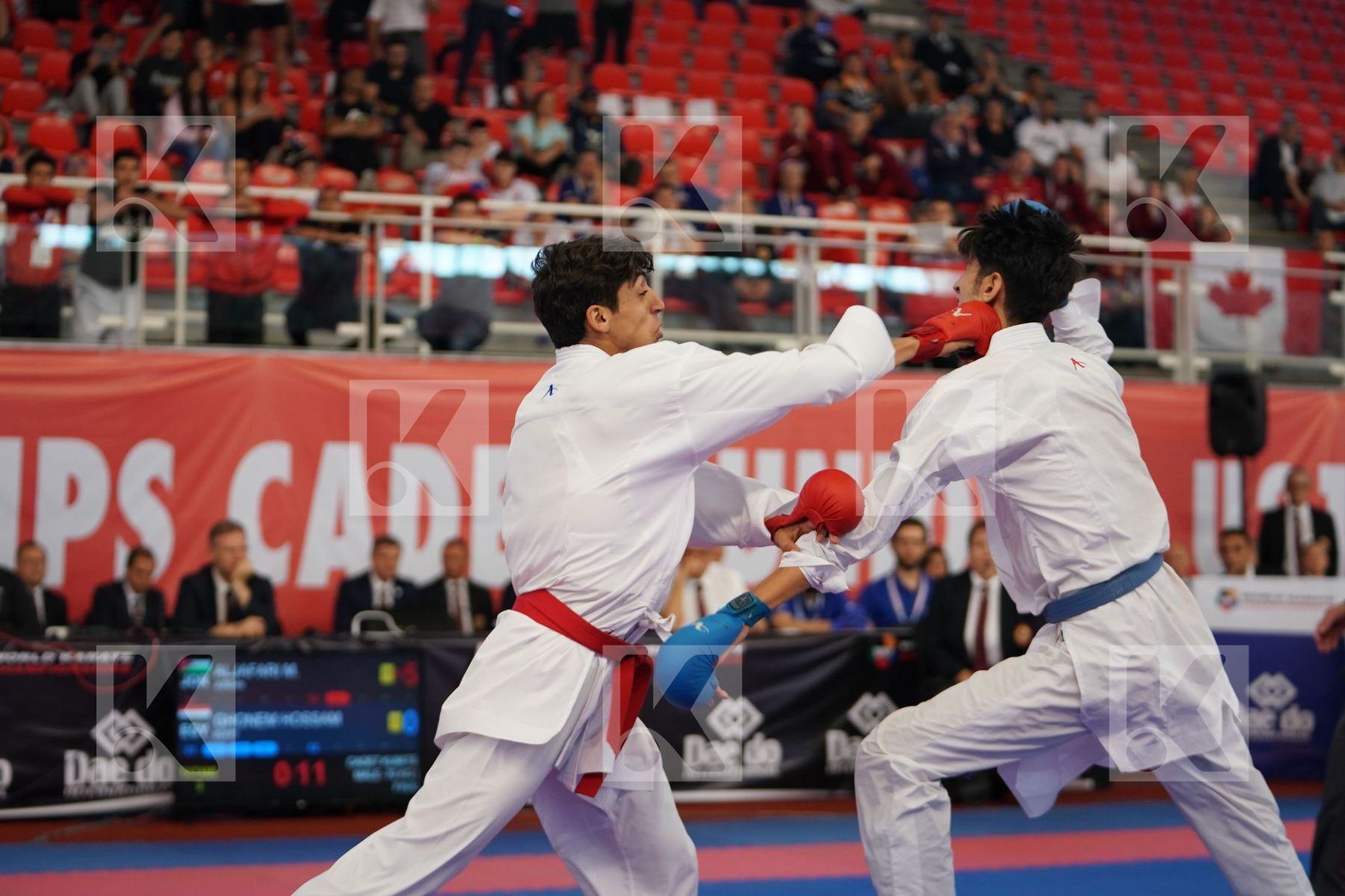 ALJAFARI MOHAMMAD (JORDAN) vs GHONEM HOSSAM (EGYPT) in Cadet Kumite Male -70 Kg - Podium ceremony