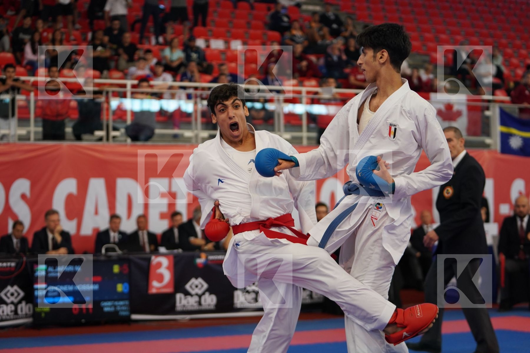 ALJAFARI MOHAMMAD (JORDAN) vs GHONEM HOSSAM (EGYPT) in Cadet Kumite Male -70 Kg - Podium ceremony