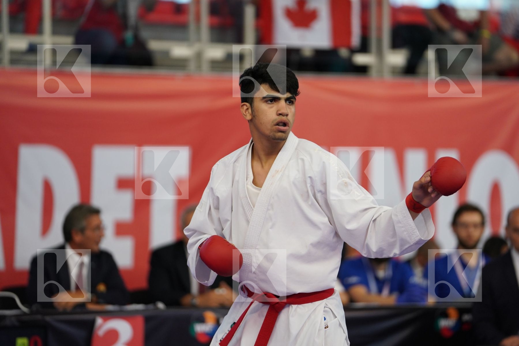 SHAMOUN IBRAHIM (JORDAN) vs SMALL ETHAN (CANADA) in Cadet Kumite Male 70+ Kg - Podium ceremony