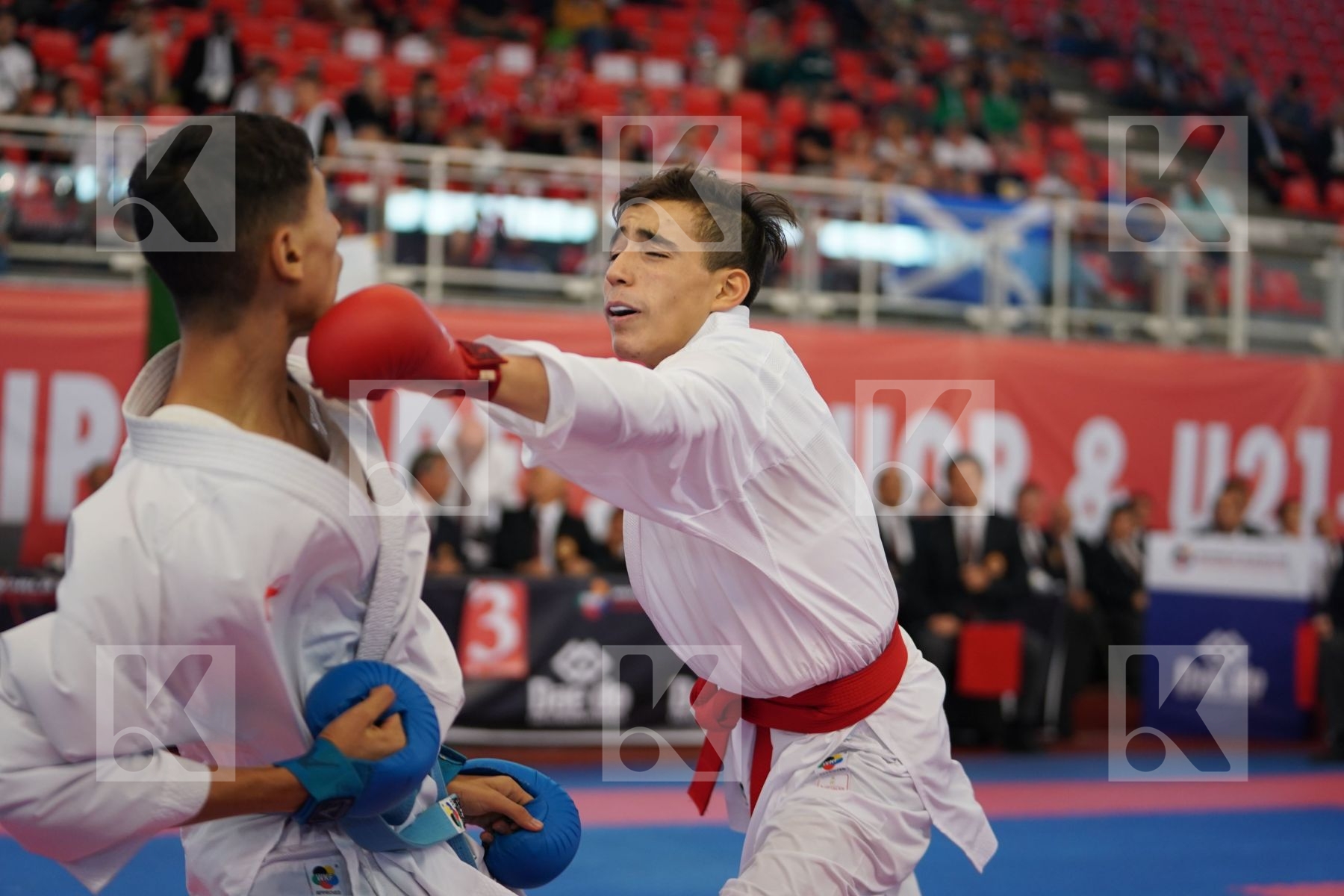 HELASSA AYOUB ANIS (ALGERIA) vs JINA ABDEL ALI (MOROCCO) in Junior Kumite Male -55 Kg - Podium ceremony