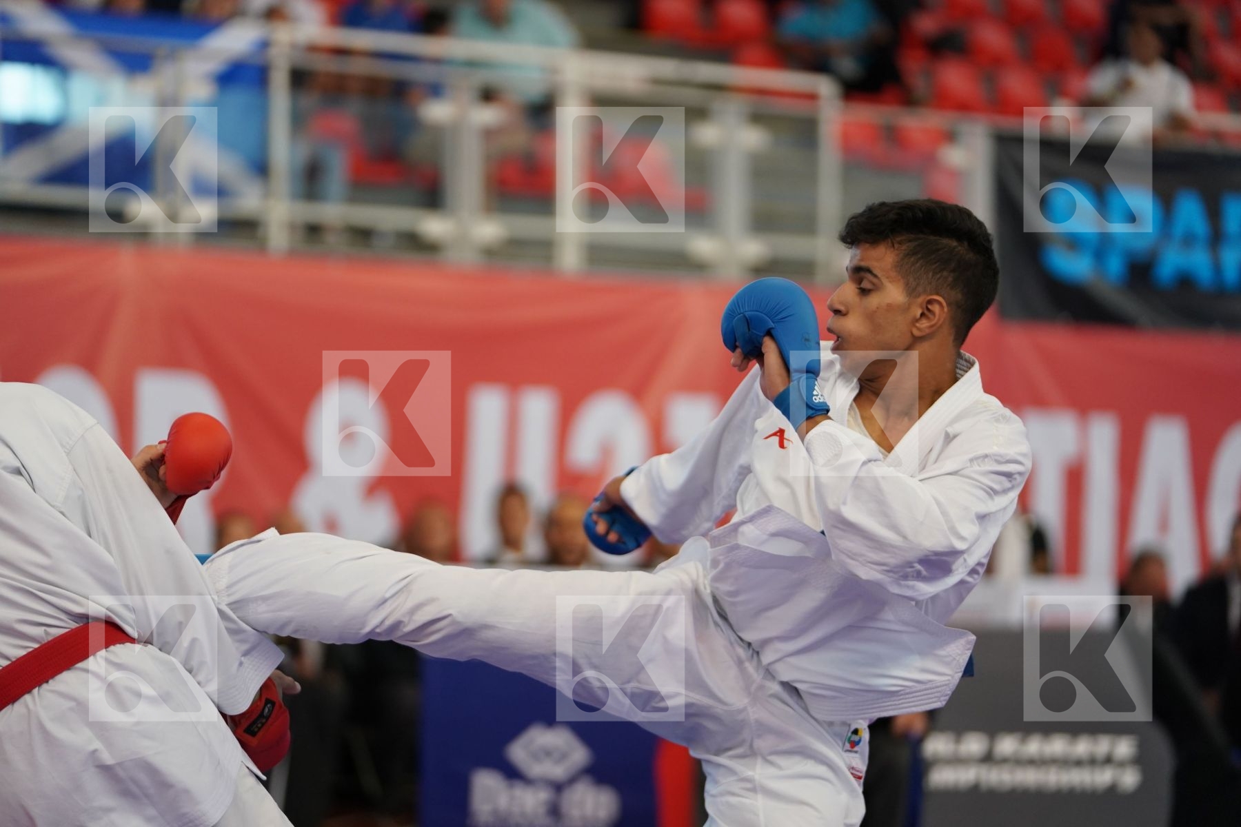 LOTFY AHMED AIMAN (EGYPT) vs MAMMADLI HUSEYN (AZERBAIJAN) in Junior Kumite Male -61 Kg - Podium ceremony