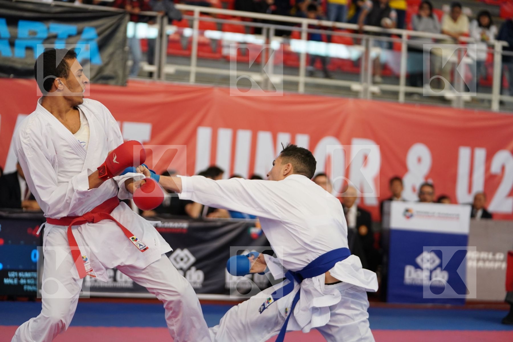SLIMANI THAMEUR (TUNISIA) vs ABDESSELEM RAYBAK (FRANCE) in Under 21 Kumite Male -84 Kg - Podium ceremony