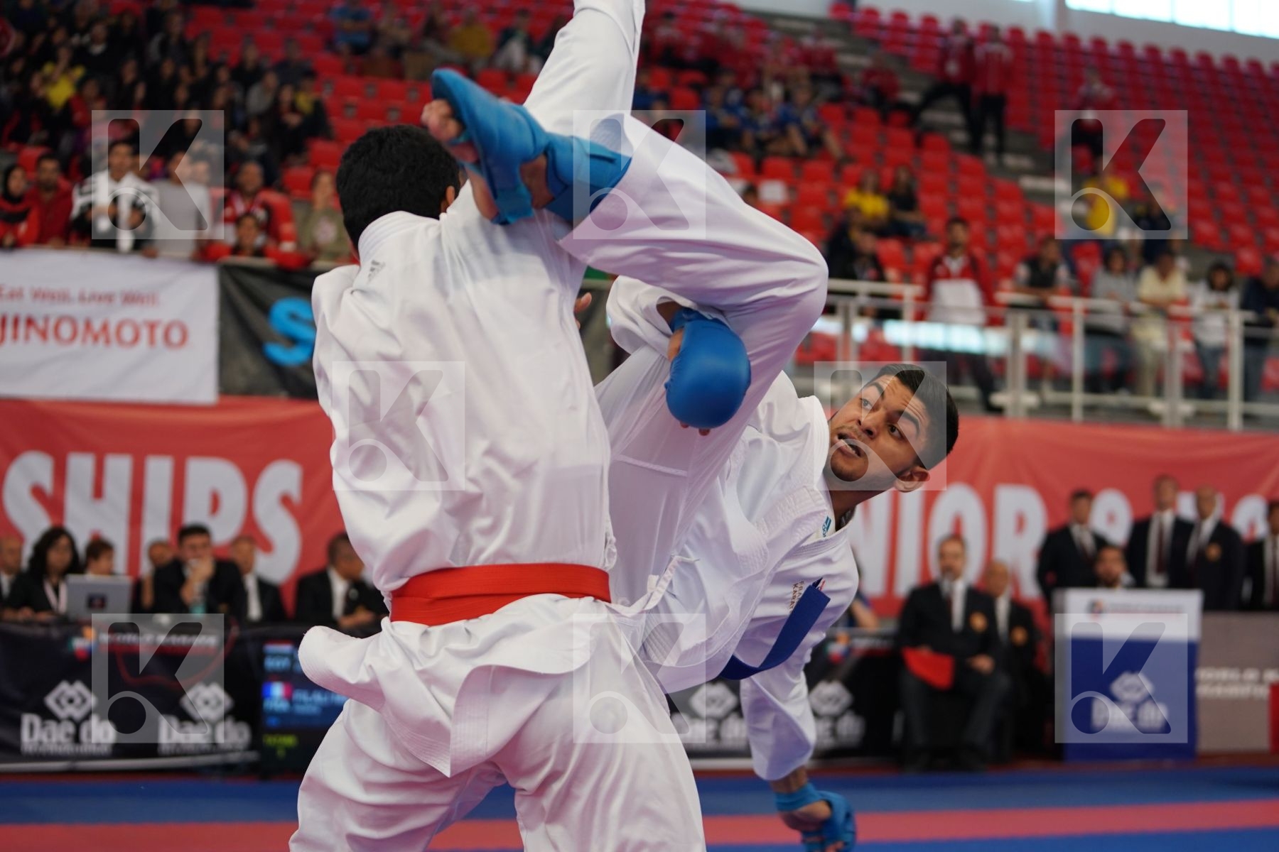 MAHMOUD TAHA TAREK (EGYPT) vs FILALI MEHDI (FRANCE) in Under 21 Kumite Male 84+ Kg - Podium ceremony