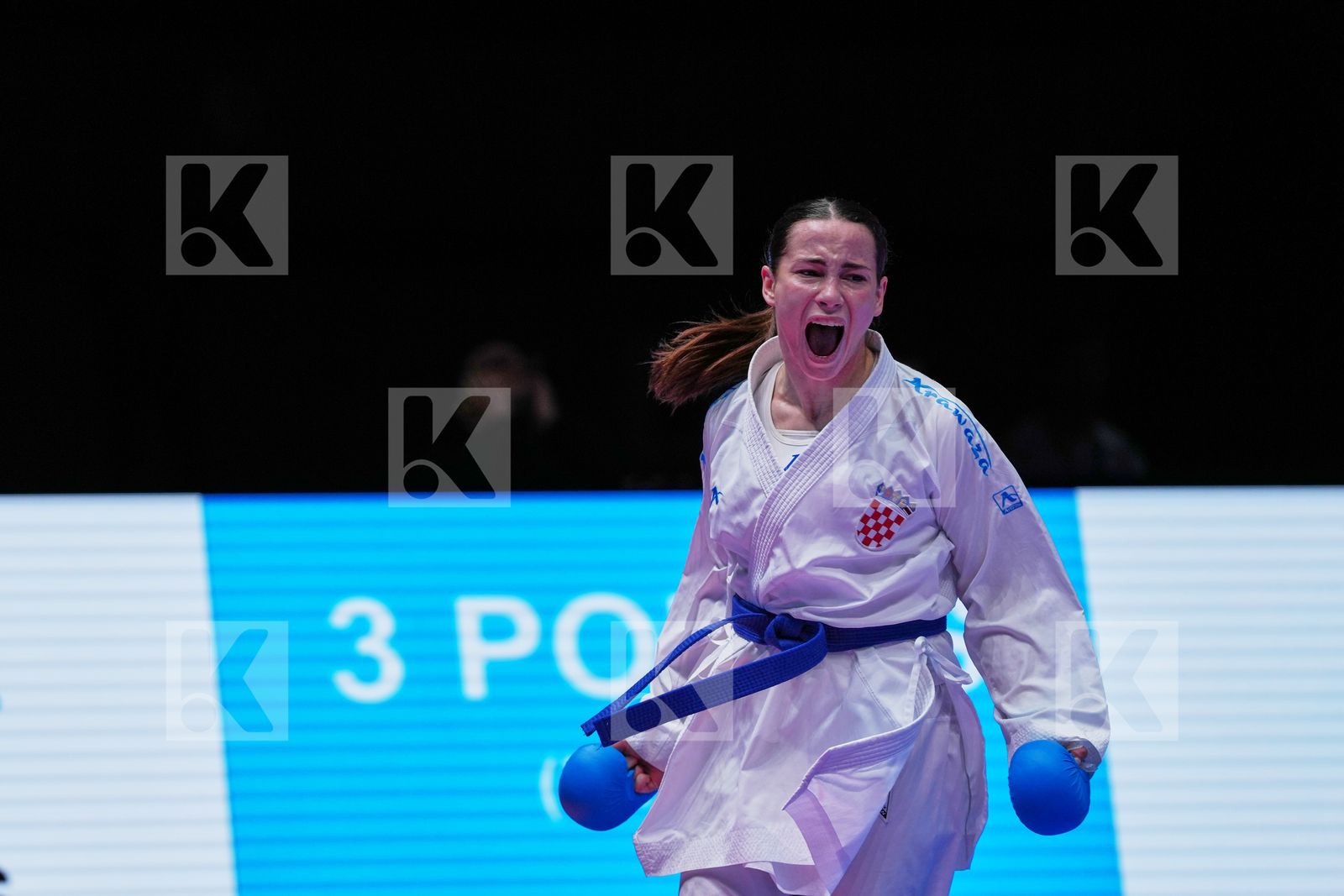 PERFETTO ERMINIA (ITALY) vs SGARDELLI EMA (CROATIA) in Female Kumite -50 Kg - Final Bout