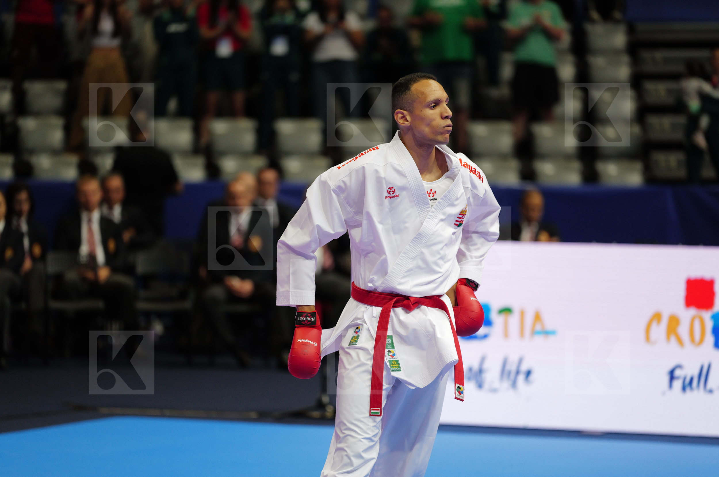 TADISSI YVES MARTIAL (HUNGARY) vs DULOVIC NENAD (MONTENEGRO) in Male Kumite -67 Kg - Final bout
