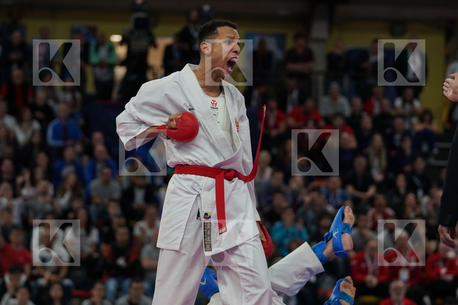 TADISSI YVES MARTIAL (HUNGARIA) vs JOKSIC STEFAN (SERBIA) in Senior Kumite -67 Kg - Bronze bout