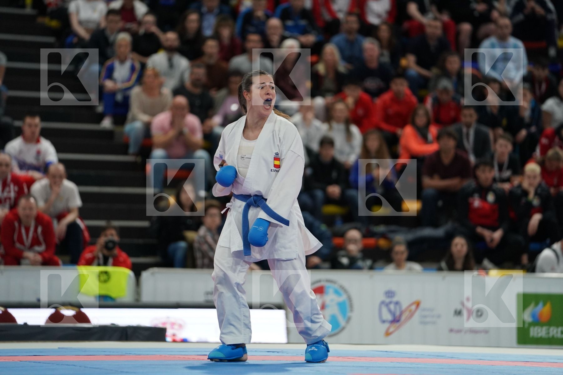 CHATZILIADOU ELENI (GREECE) vs PALACIO GONZALEZ LAURA (SPAIN) in Senior Kumite 68+ Kg - Final bout