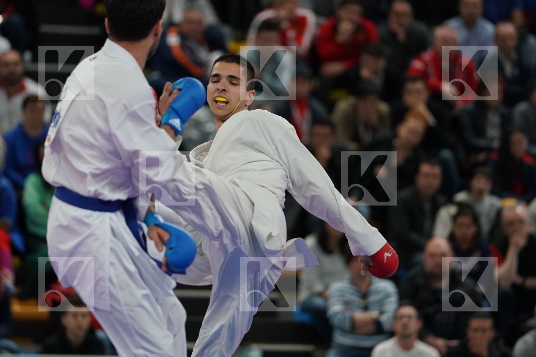 SERBIA vs TURKEY in Senior Team Male Kumite - Final bout