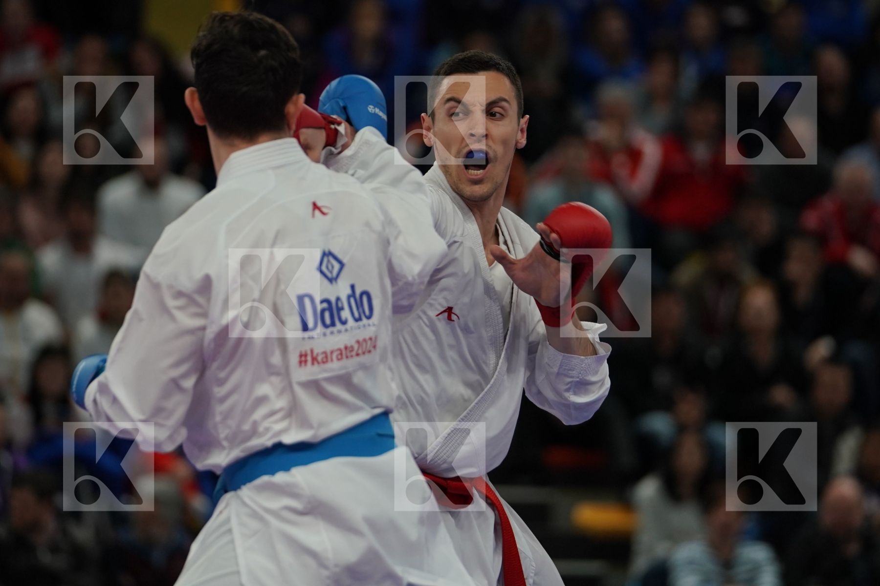 SERBIA vs TURKEY in Senior Team Male Kumite - Final bout