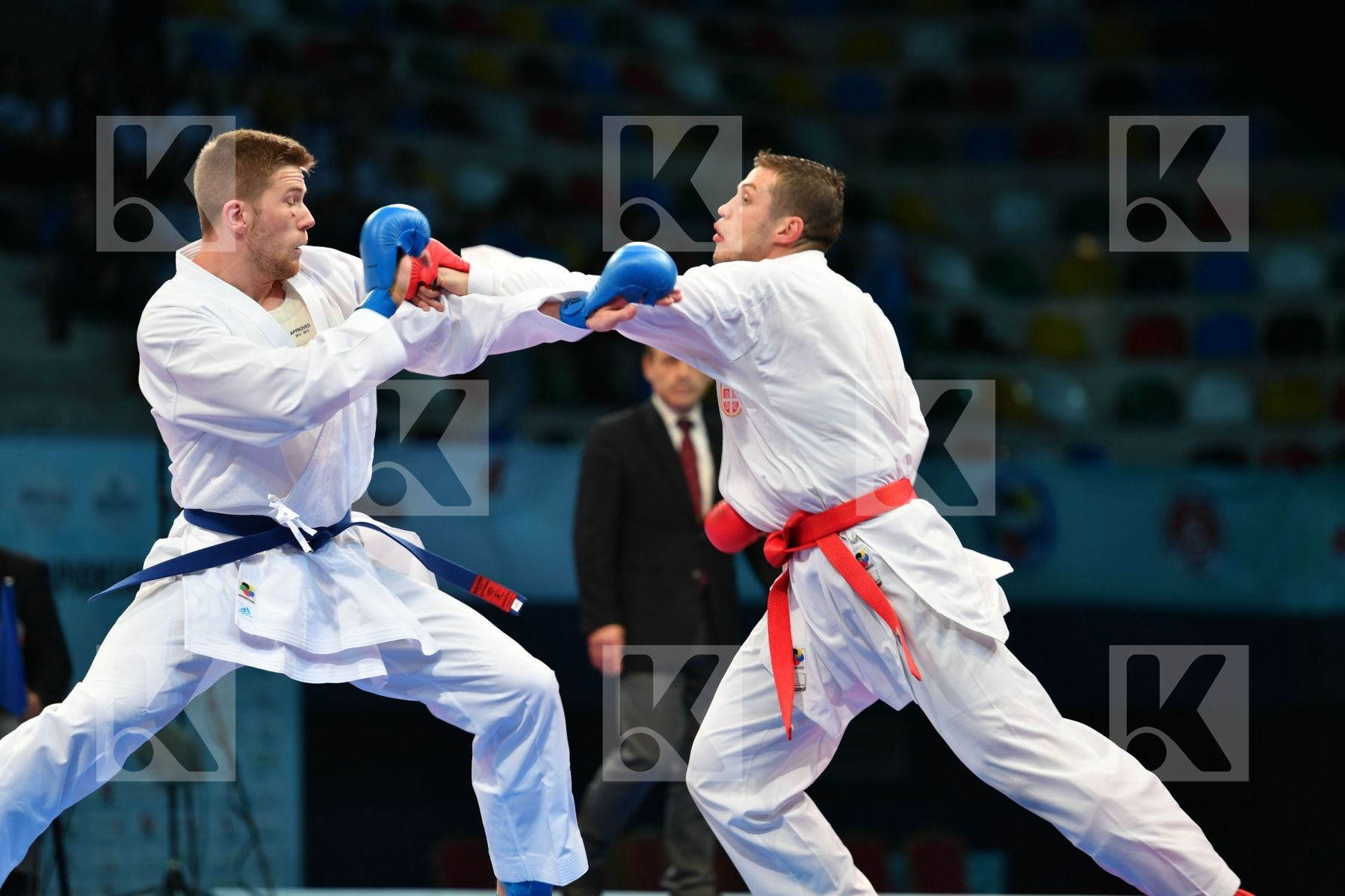 Bitevic Slobodan Hungary Male kumite 84+ kg Molnar Daniel Serbia