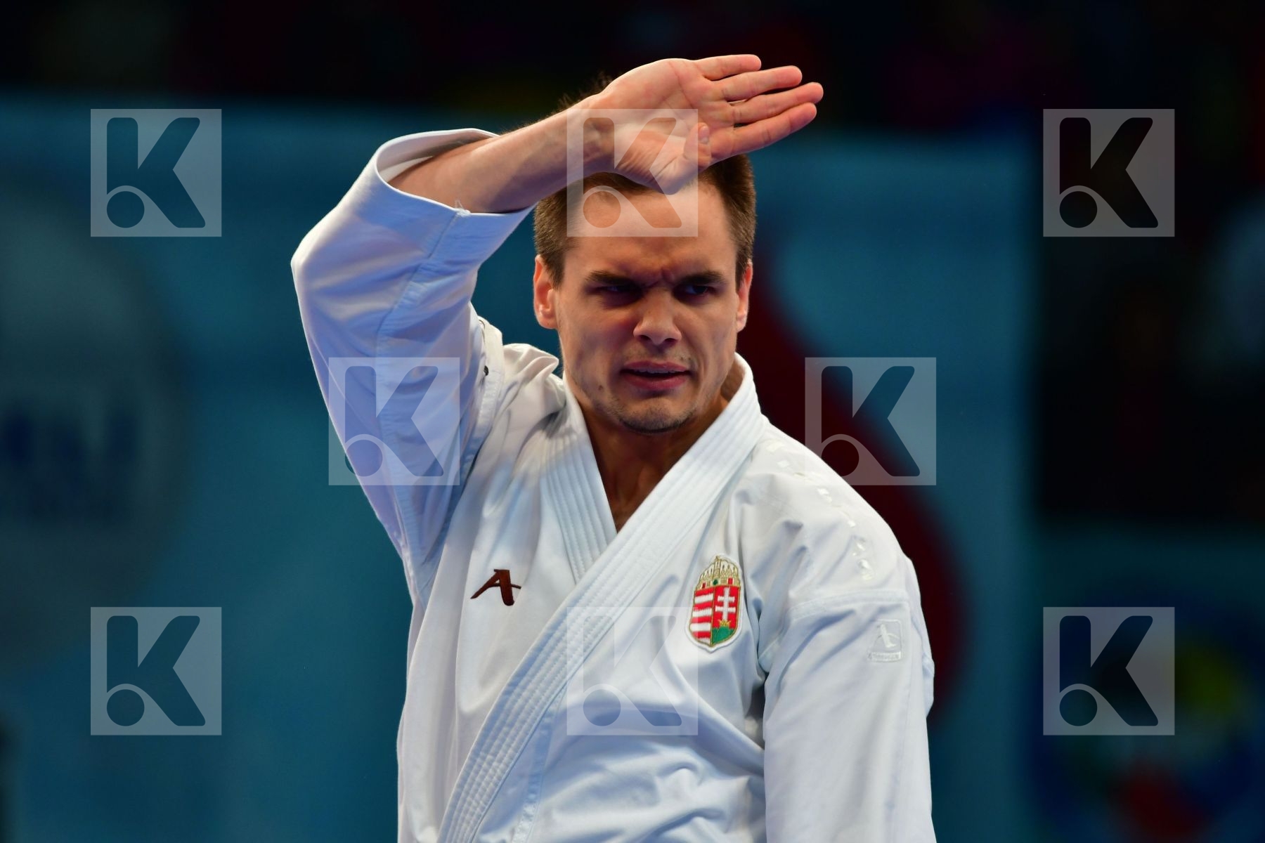 Chatanyara kushanku Hungary Male kata Nagy Botond