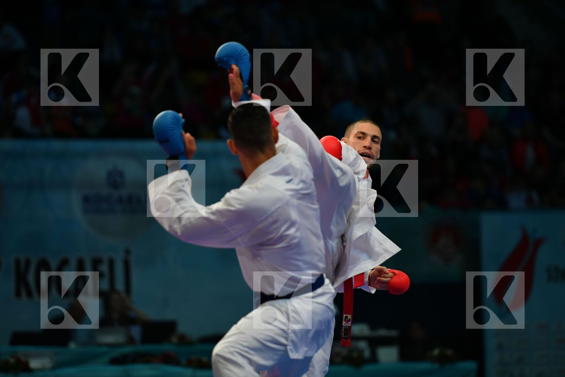 Busa Luigi Horuna Stanislav Italy Male kumite -75 kg Ukraine