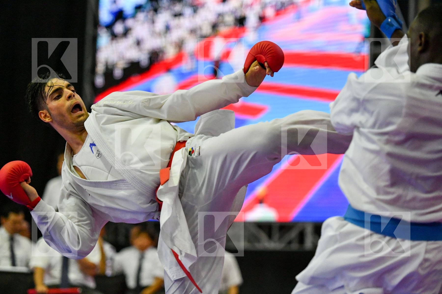 Ghararizadeh Mahani Mahdi Hamedi Tareg Iran Islamic Republic Of