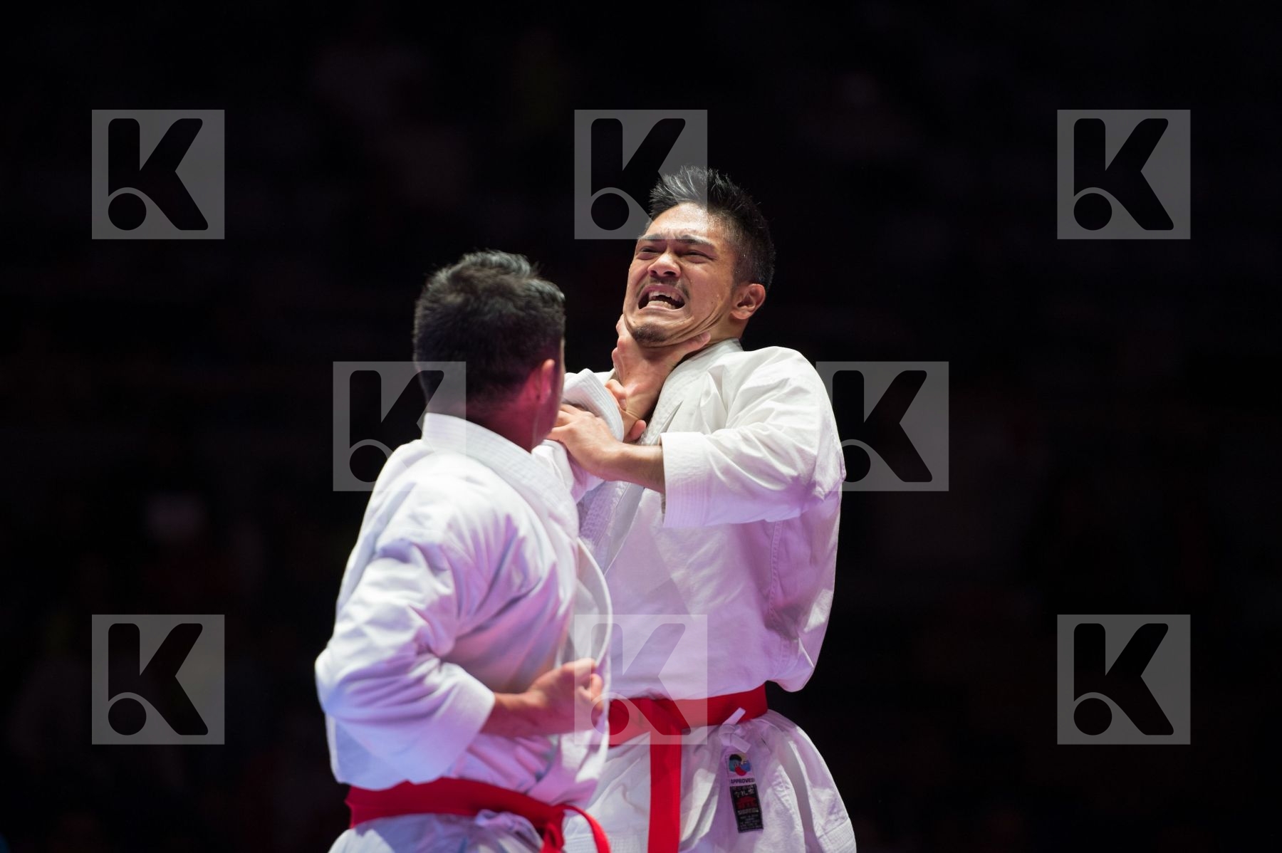 final Japan kata team