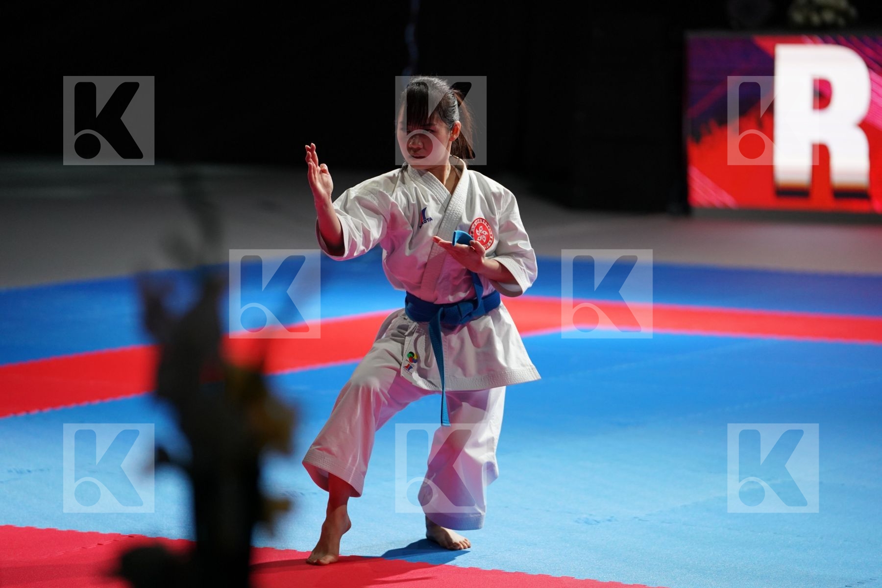 LAU MO SHEUNG GRACE (HONG KONG CHINA) in Senior Female Kata - Bronze bout
