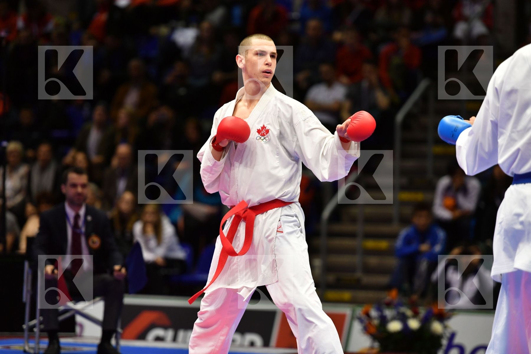 Canada Gaysinsky Daniel Germany Horne Jonathan Male kumite 84+ k