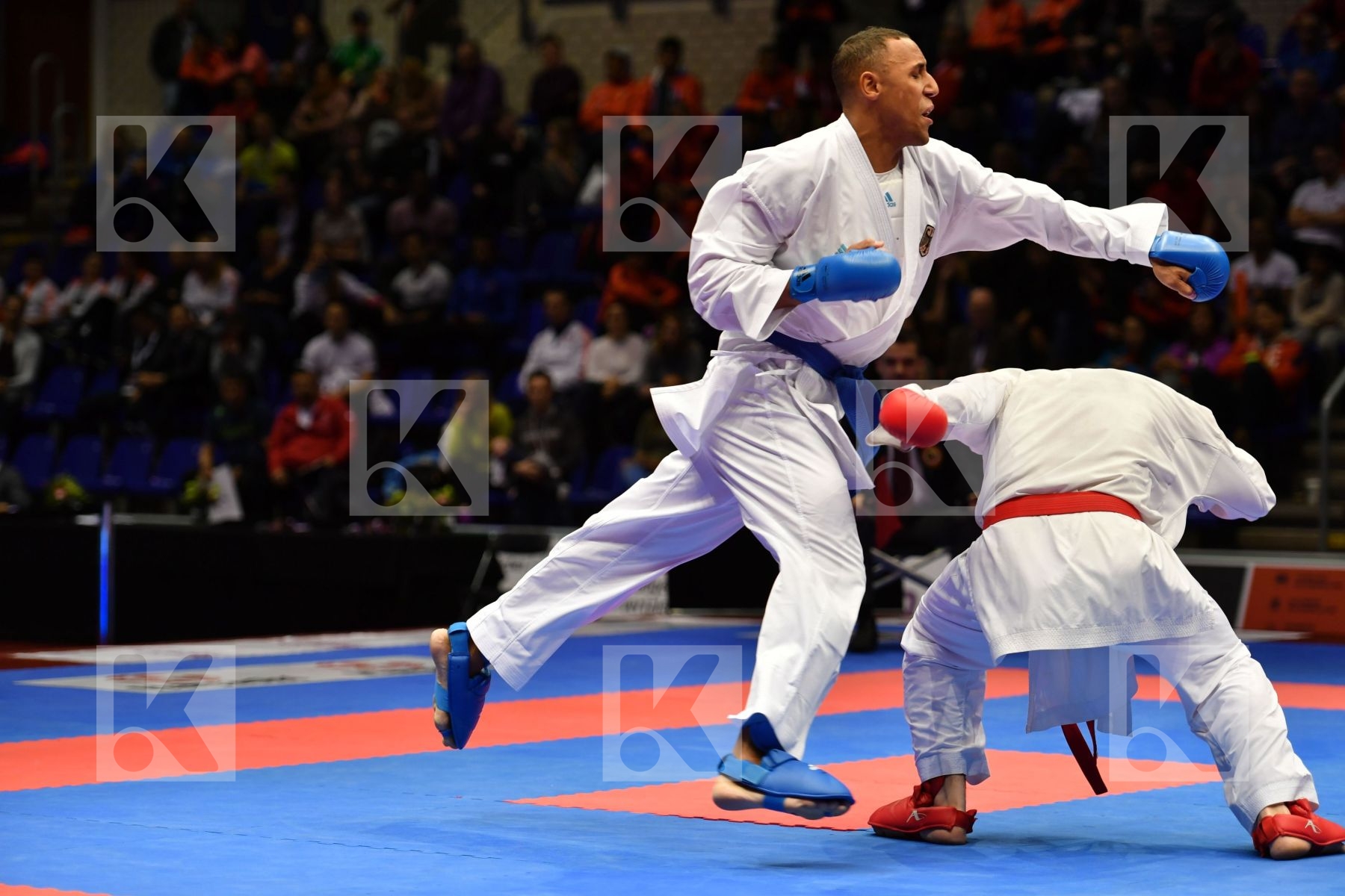 Canada Gaysinsky Daniel Germany Horne Jonathan Male kumite 84+ k