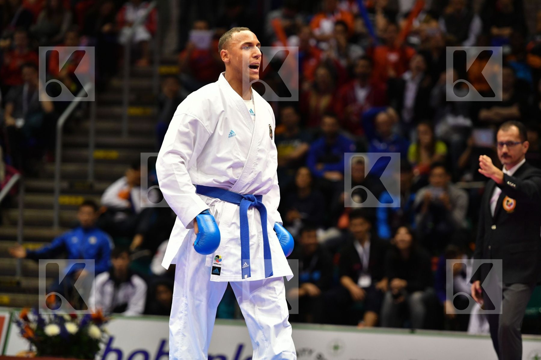 Canada Gaysinsky Daniel Germany Horne Jonathan Male kumite 84+ k