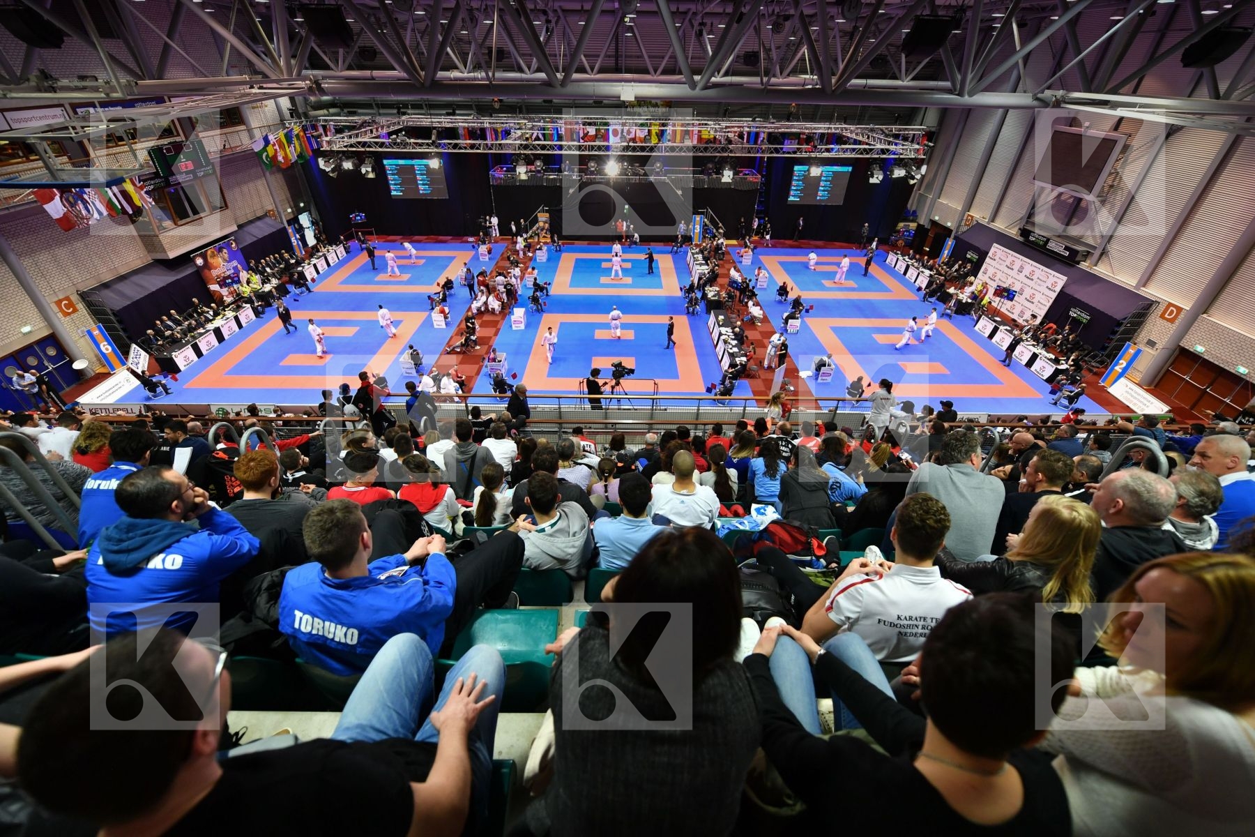 arena elimination tatami