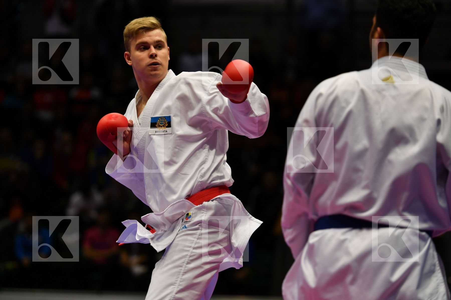 Estonia Ganjzadeh Sajad Iran  islamic republic of Male kumite 84