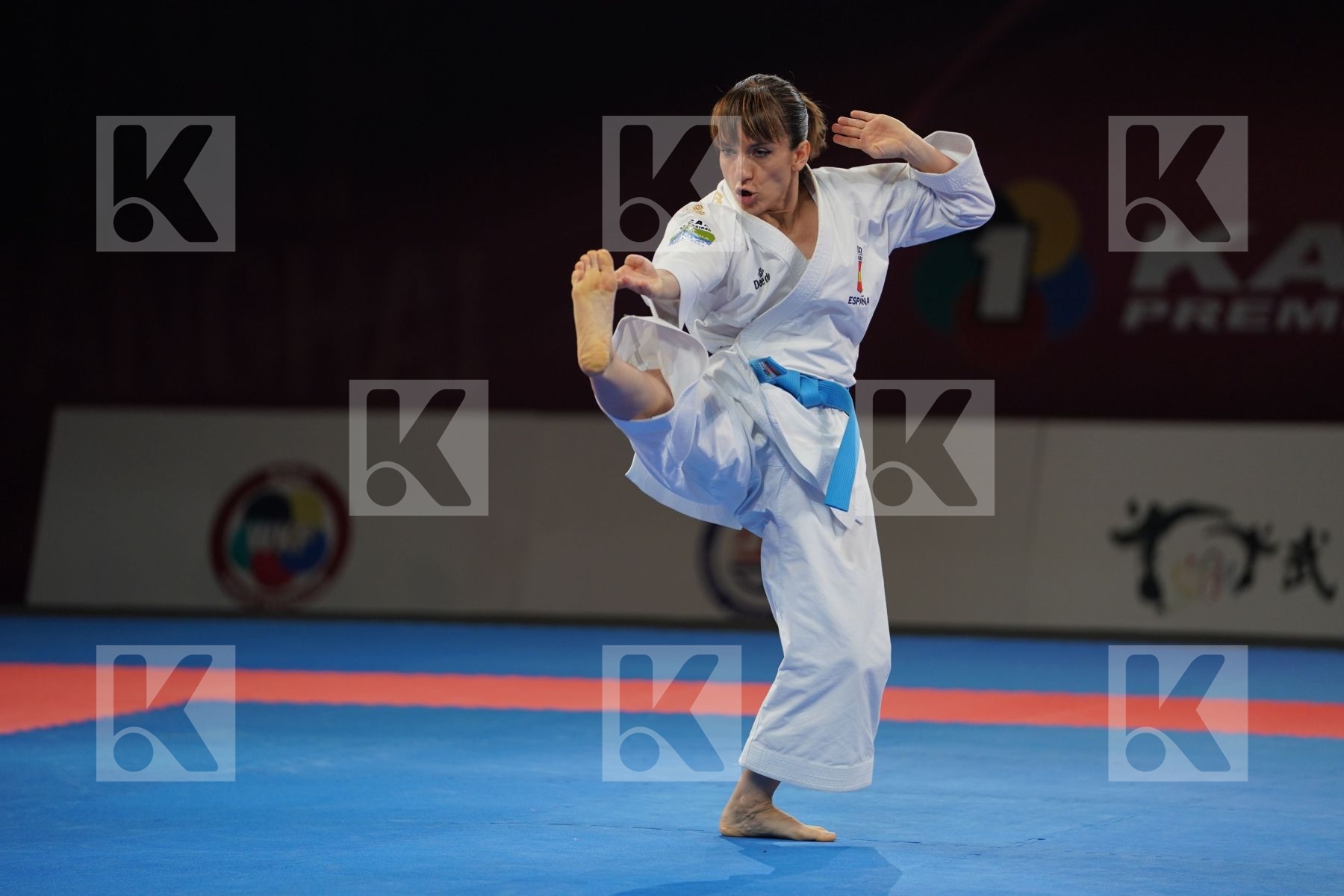 SANCHEZ JAIME SANDRA (SPAIN in Senior Female Kata - Gold bout