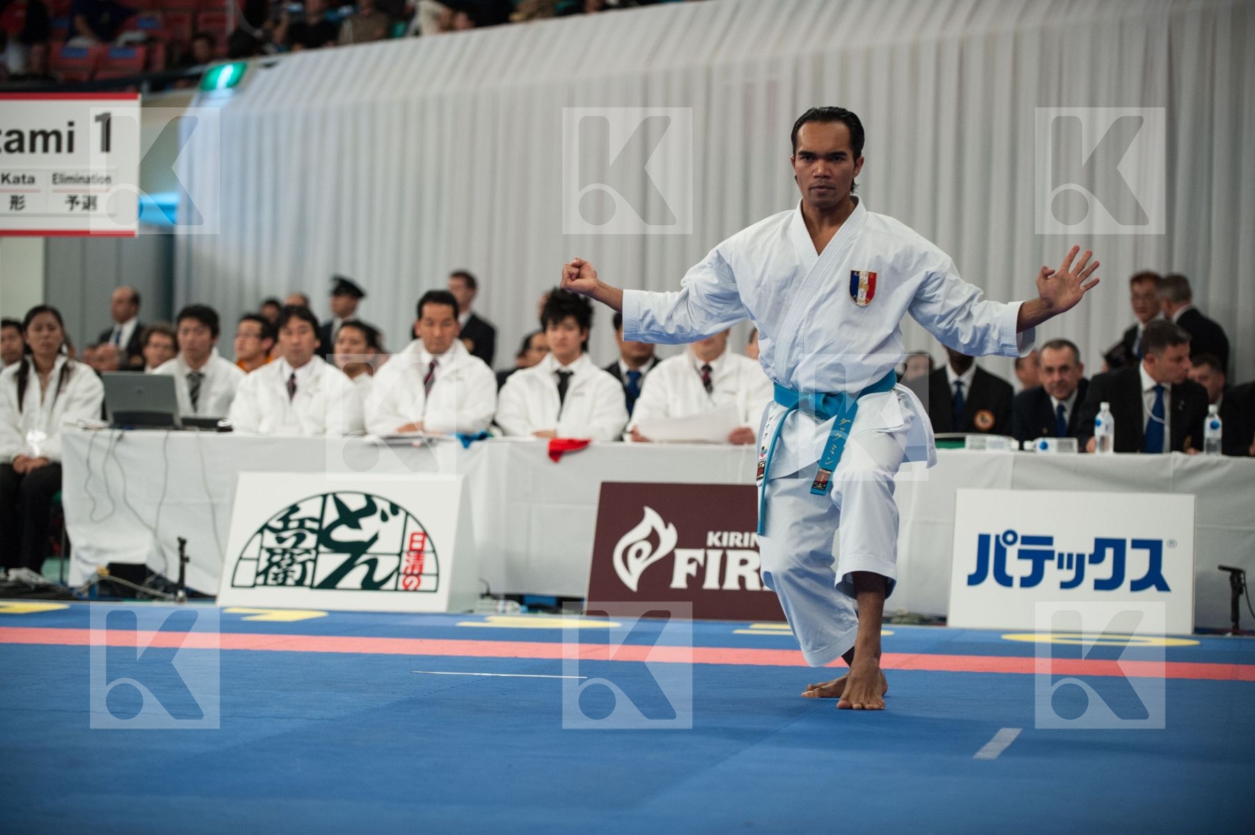 WKF World Karate Senior 2008 Tokyo 2008