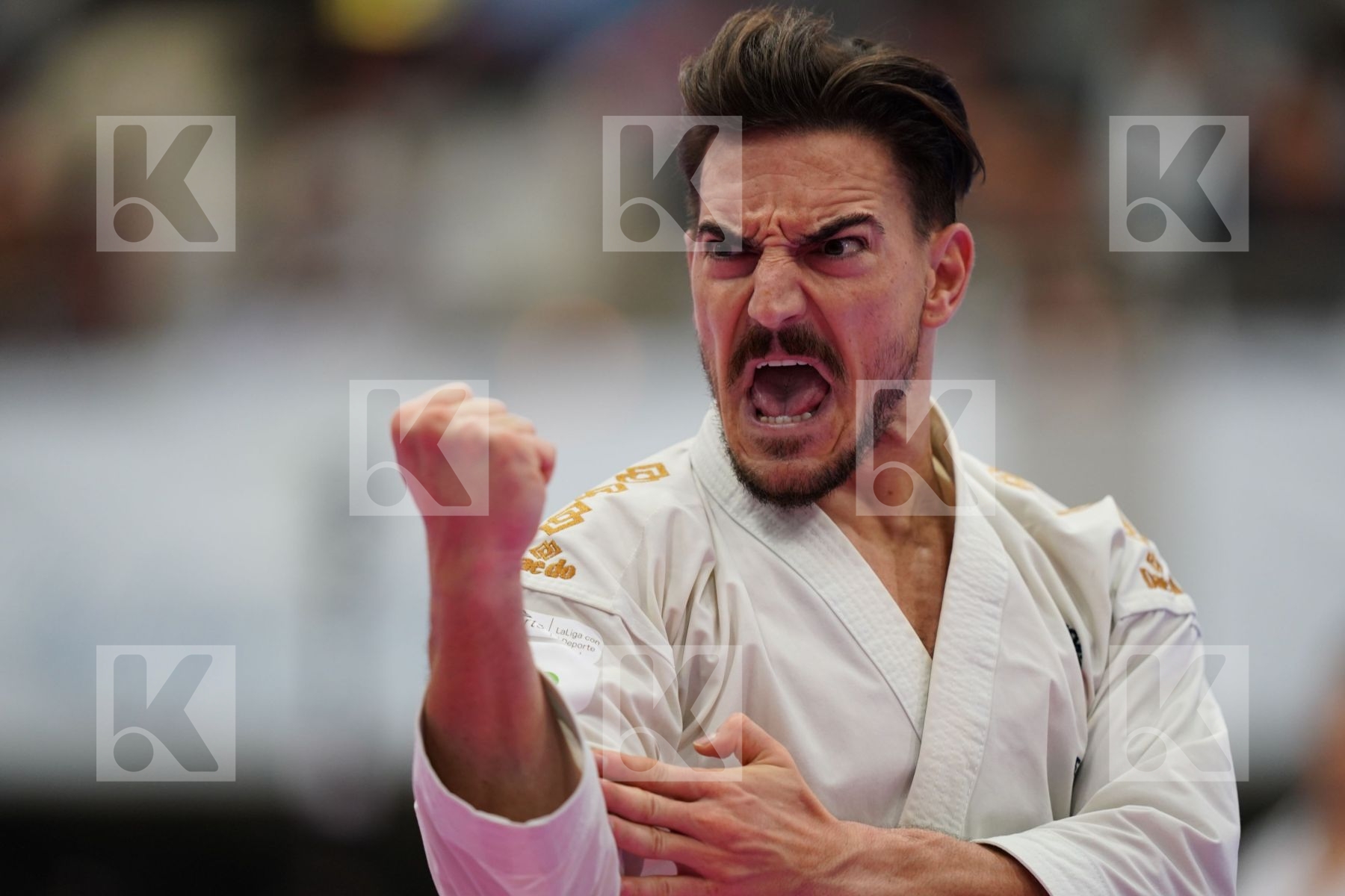 QUINTERO CAPDEVILA DAMIAN HUGO (SPAIN) in Senior Male Kata - Bronze bout