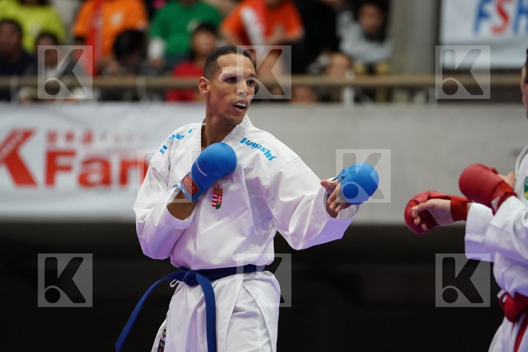 FIGUEIRA VINICIUS (BRAZIL) VS TADISSI YVES MARTIAL (HUNGARY) in Senior Kumite -67 Kg - Bronze bout