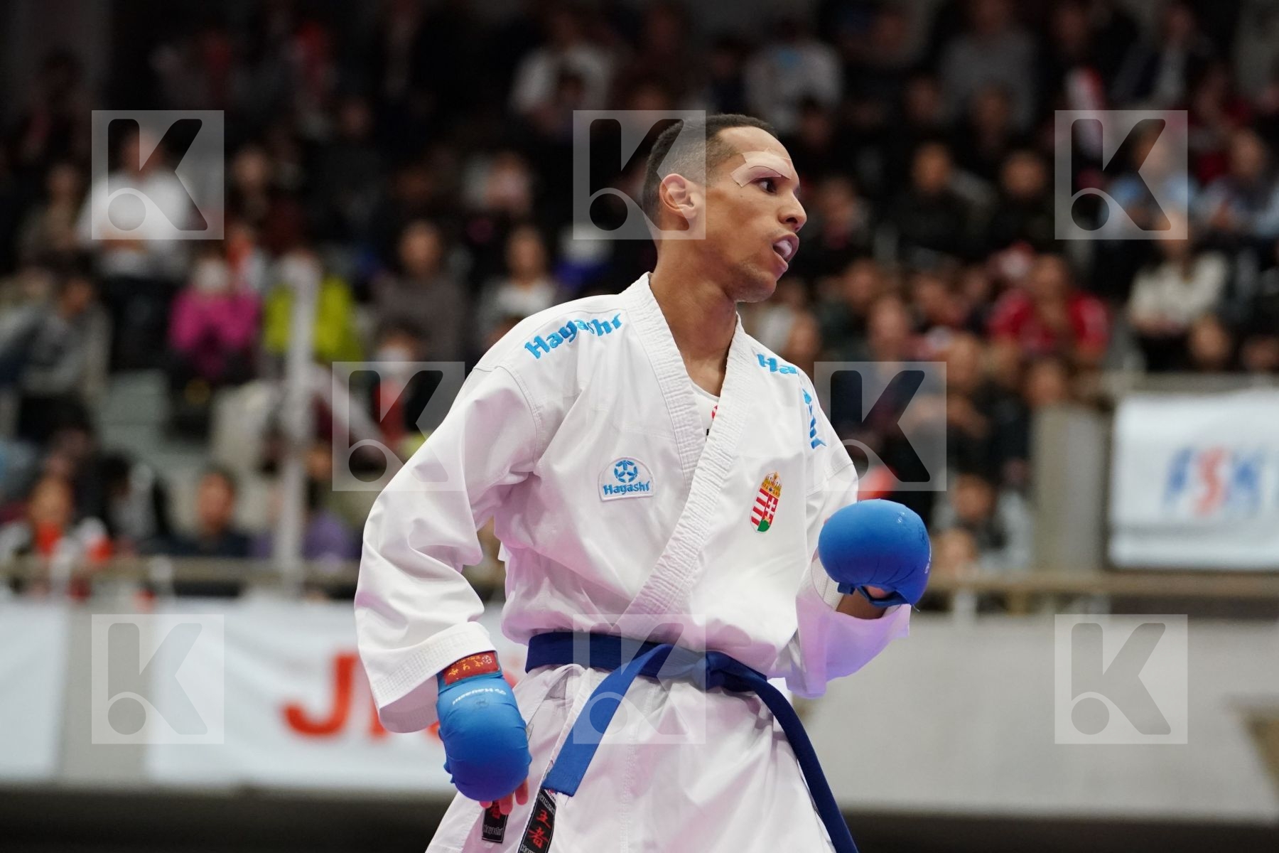 FIGUEIRA VINICIUS (BRAZIL) VS TADISSI YVES MARTIAL (HUNGARY) in Senior Kumite -67 Kg - Bronze bout