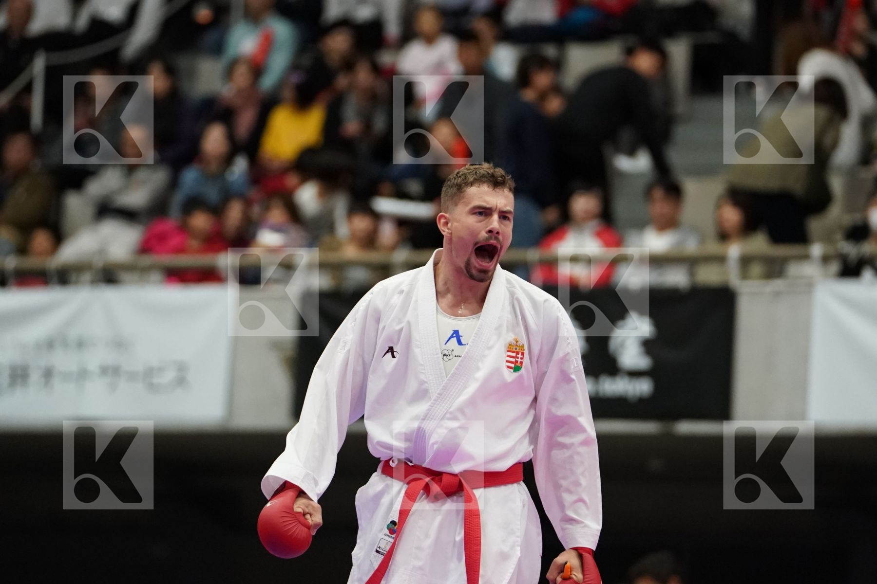 HARSPATAKI GABOR (HUNGARY) VS HORUNA STANISLAV (UKRAINE) in Senior Kumite Ð 75 Kg - Bronze bout