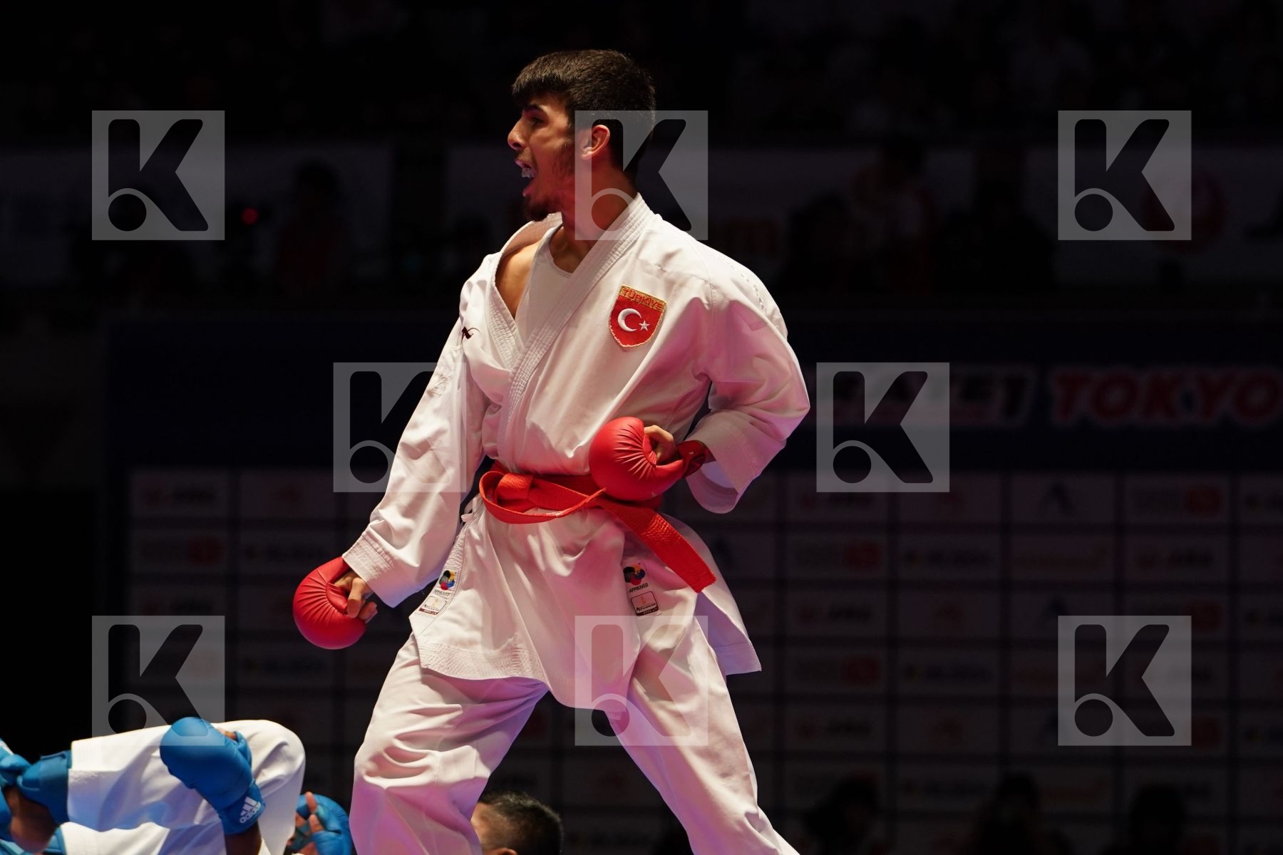 SAMDAN ERAY (TURKEY) VS KANAGASINGAM KAJITH (FRANCE) in Senior Kumite -60 Kg - Gold bout